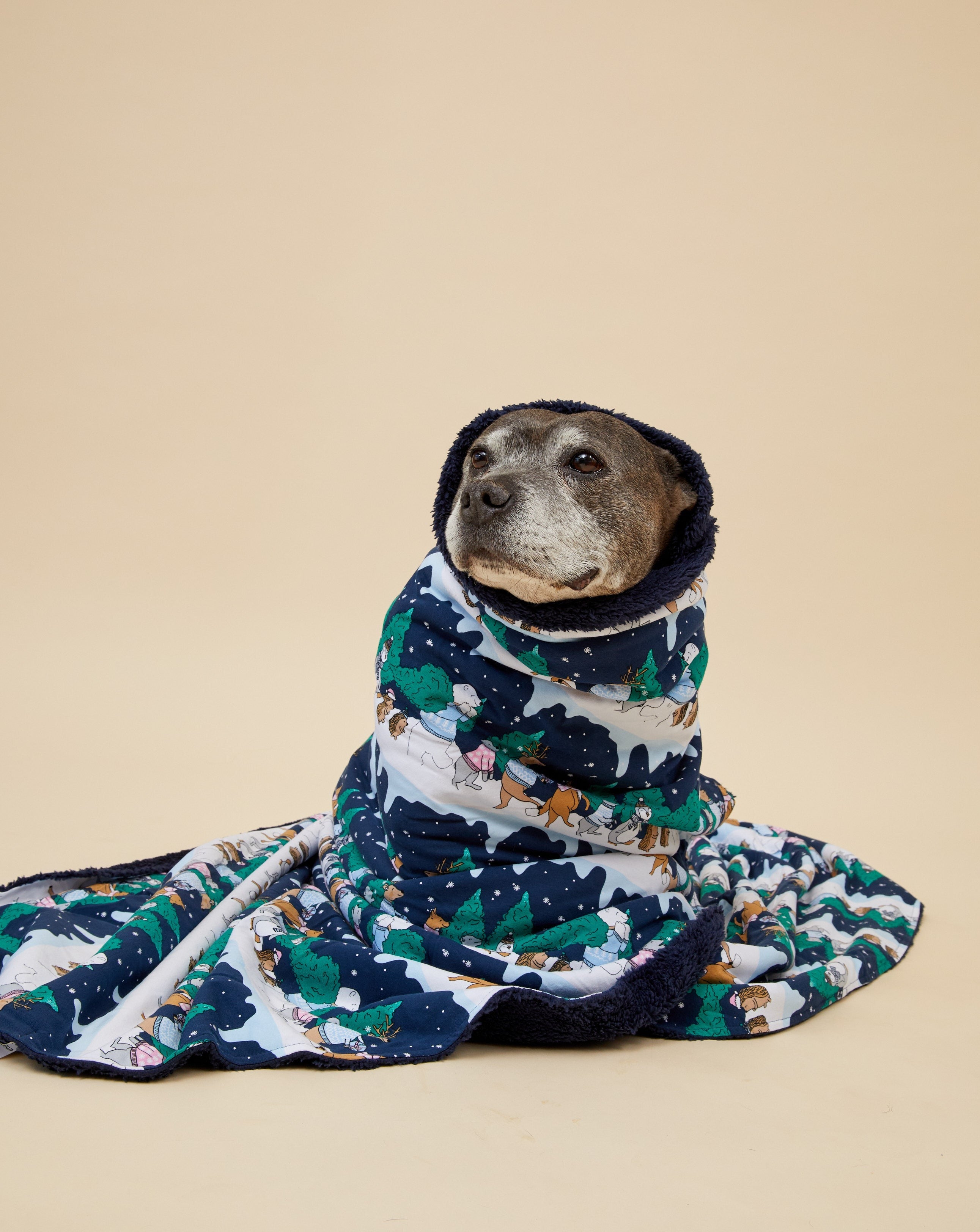 Darren and Phillip Christmas dog blanket.