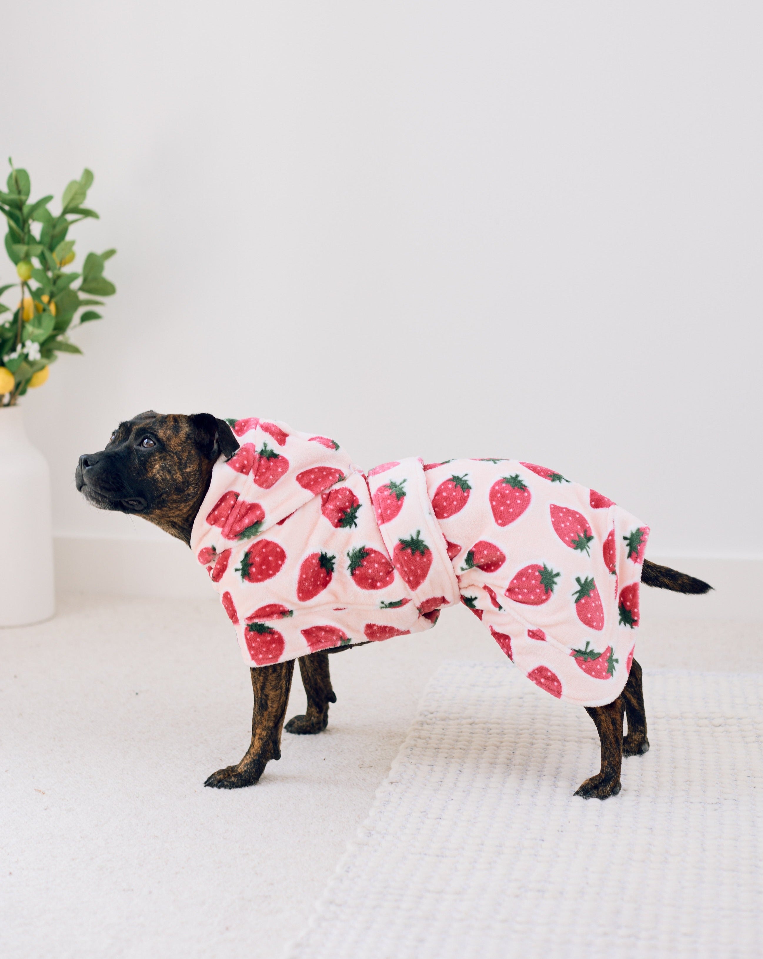 Dog Lounge Robe | Cutie Frutti, Strawberry