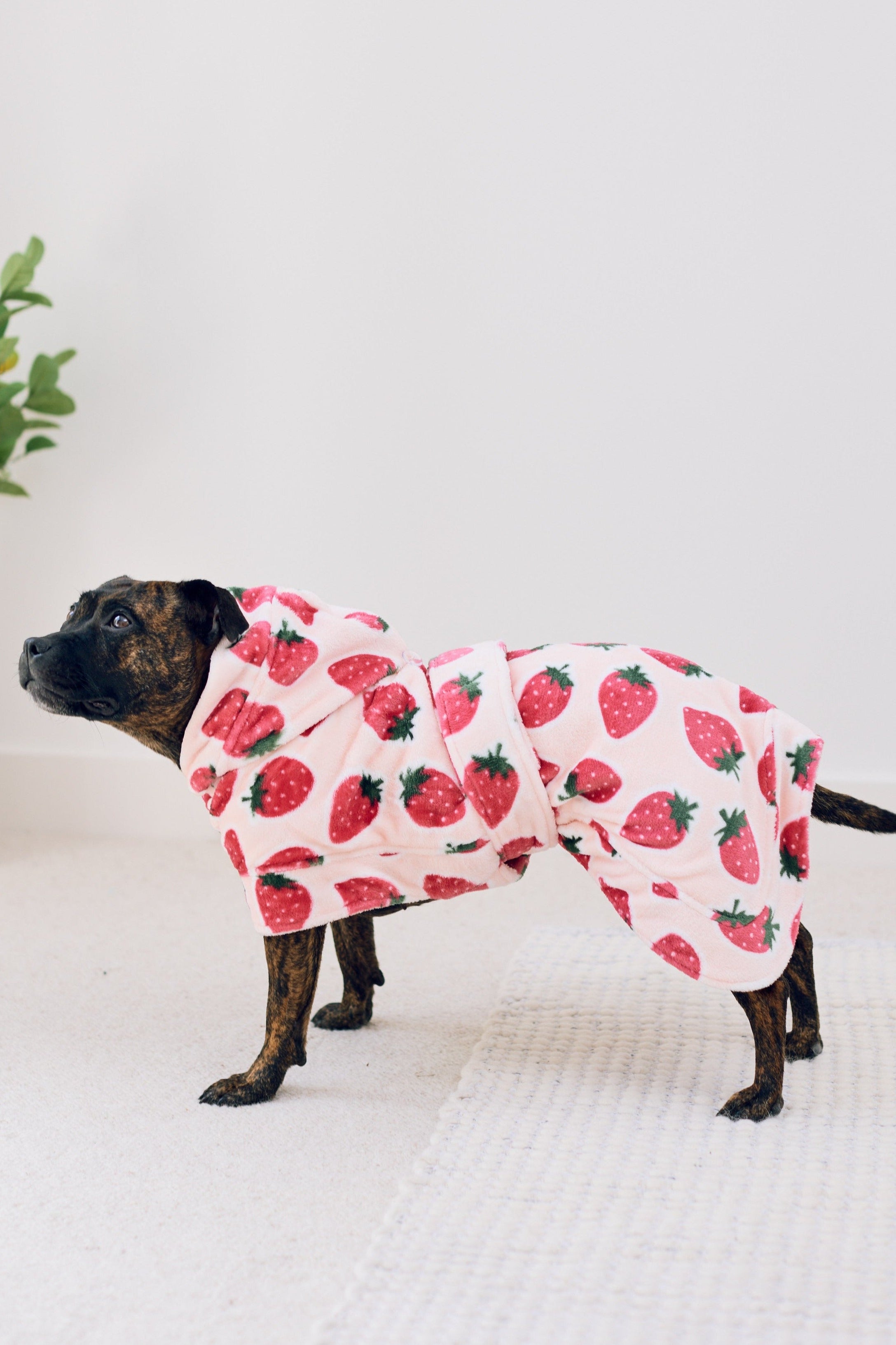 Dog Lounge Robe | Cutie Frutti, Strawberry