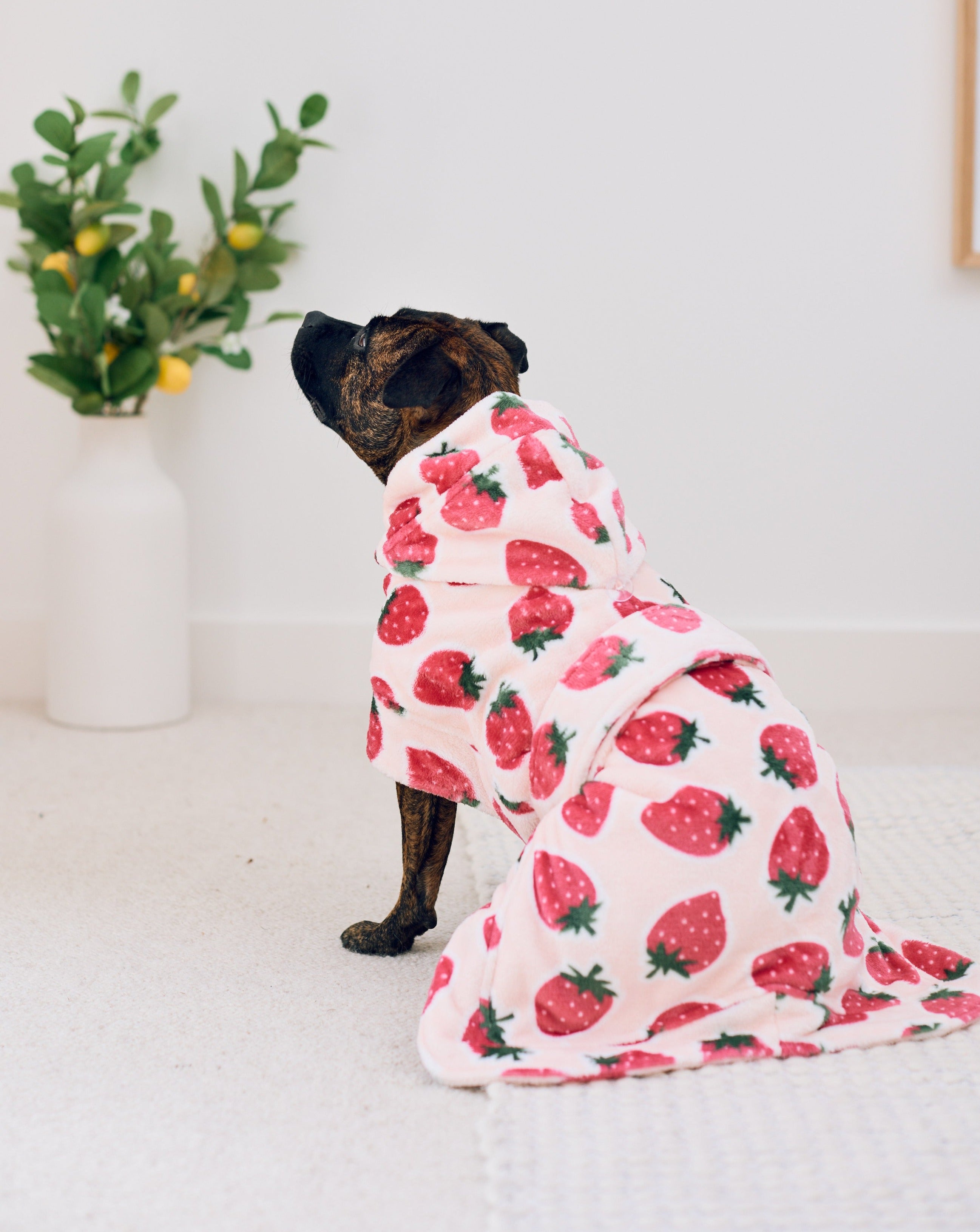 Dog Lounge Robe | Cutie Frutti, Strawberry