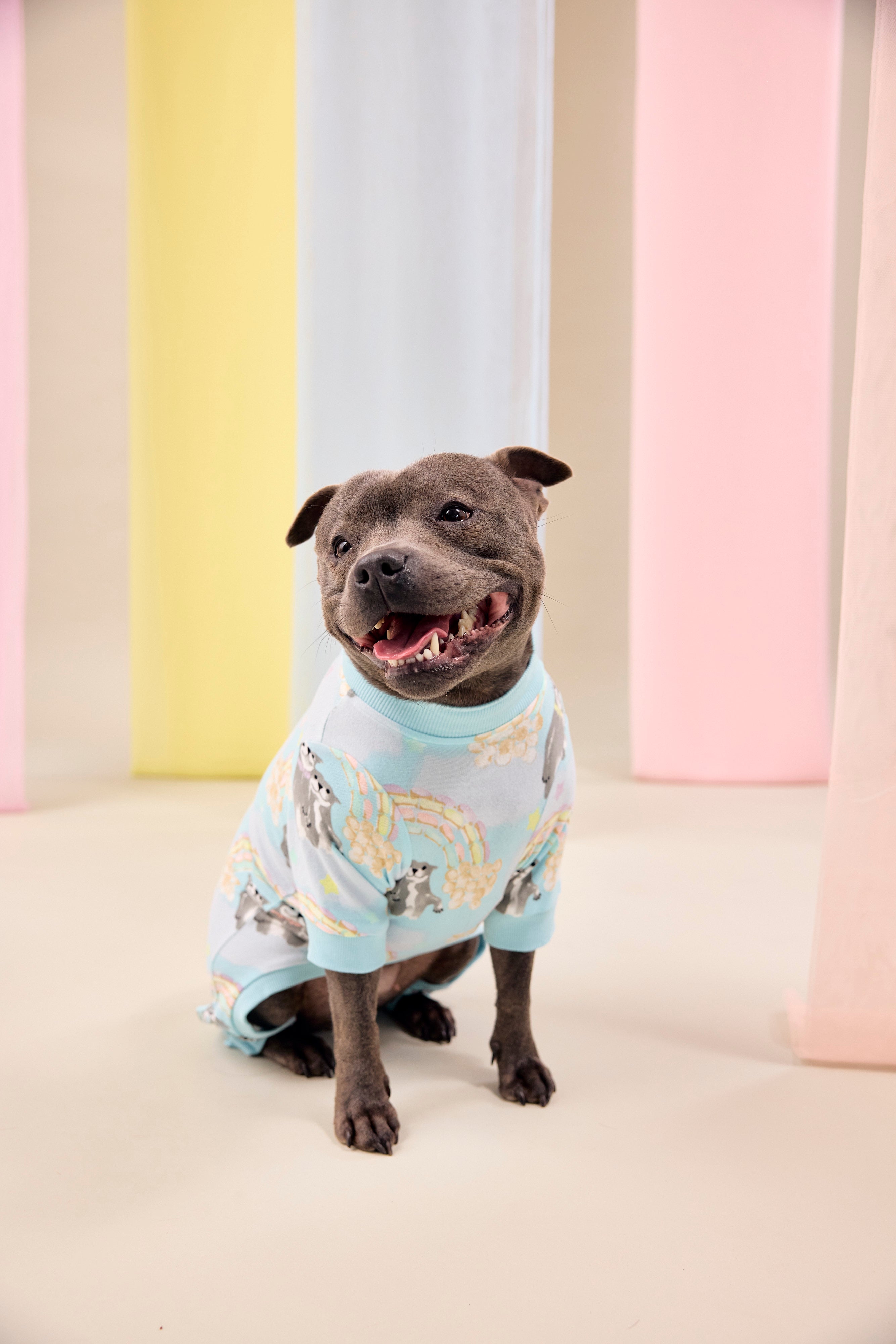 Dog Pajamas | Sweet Rainbow Dreams