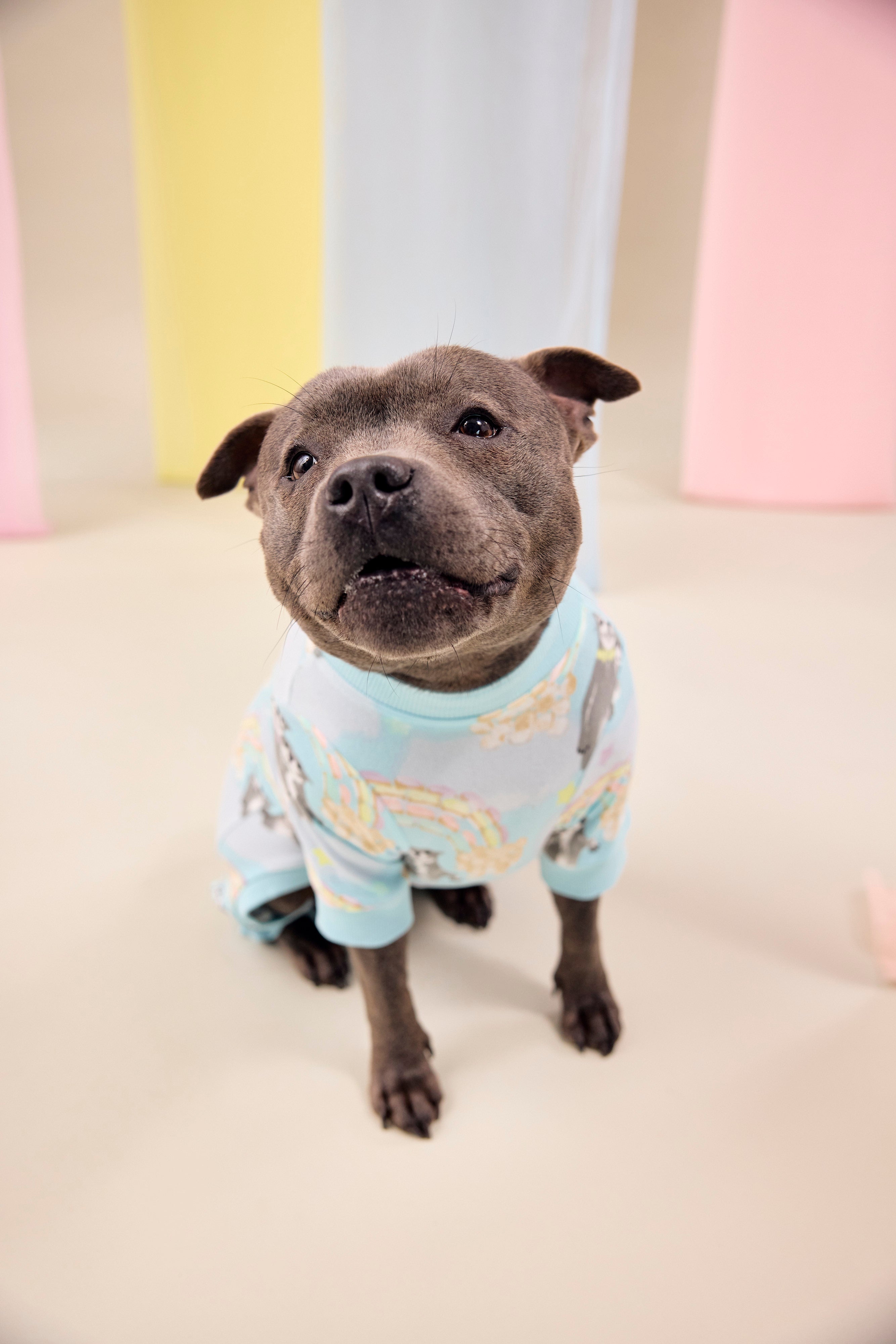 Dog Pajamas | Sweet Rainbow Dreams