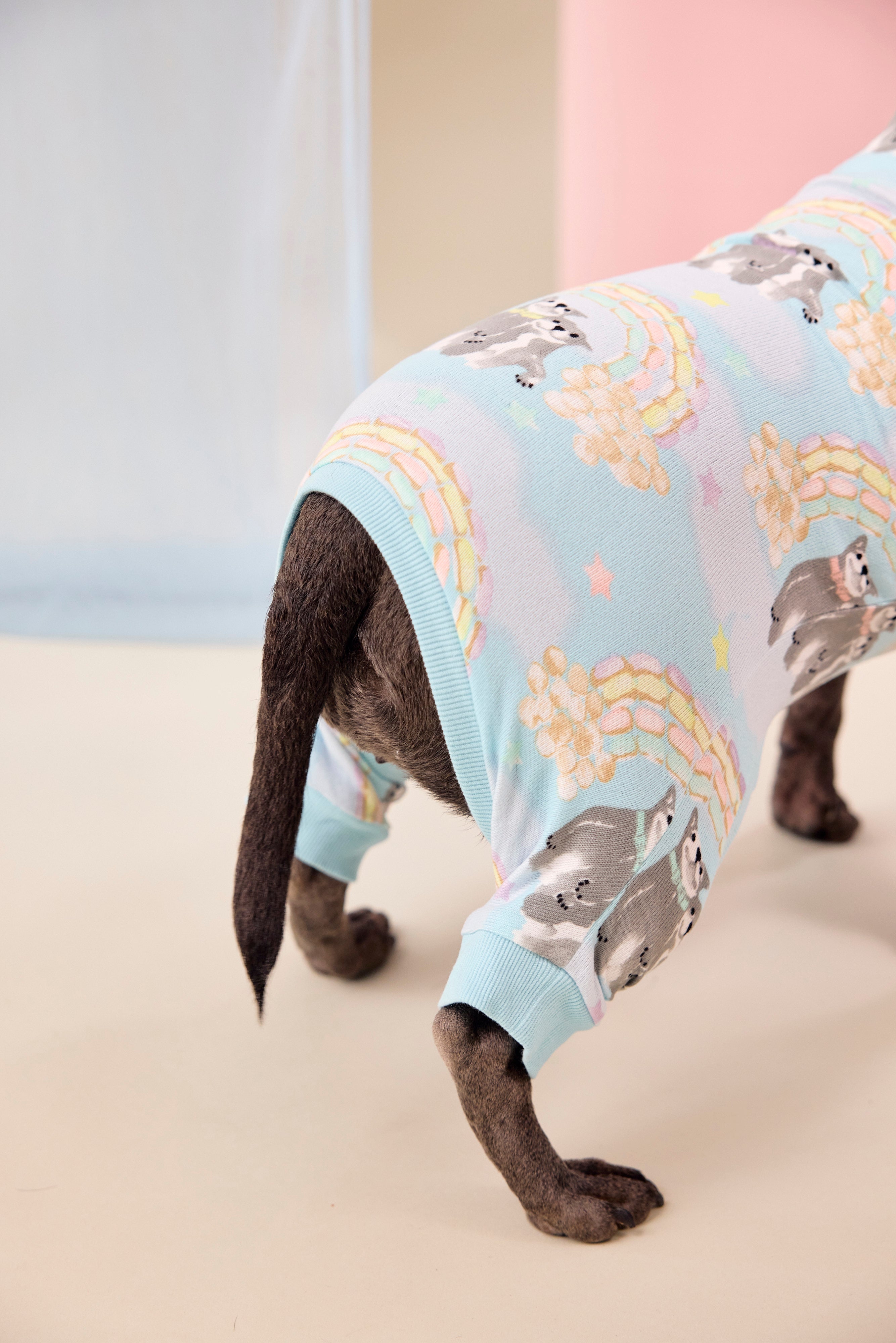 Dog Pajamas | Sweet Rainbow Dreams