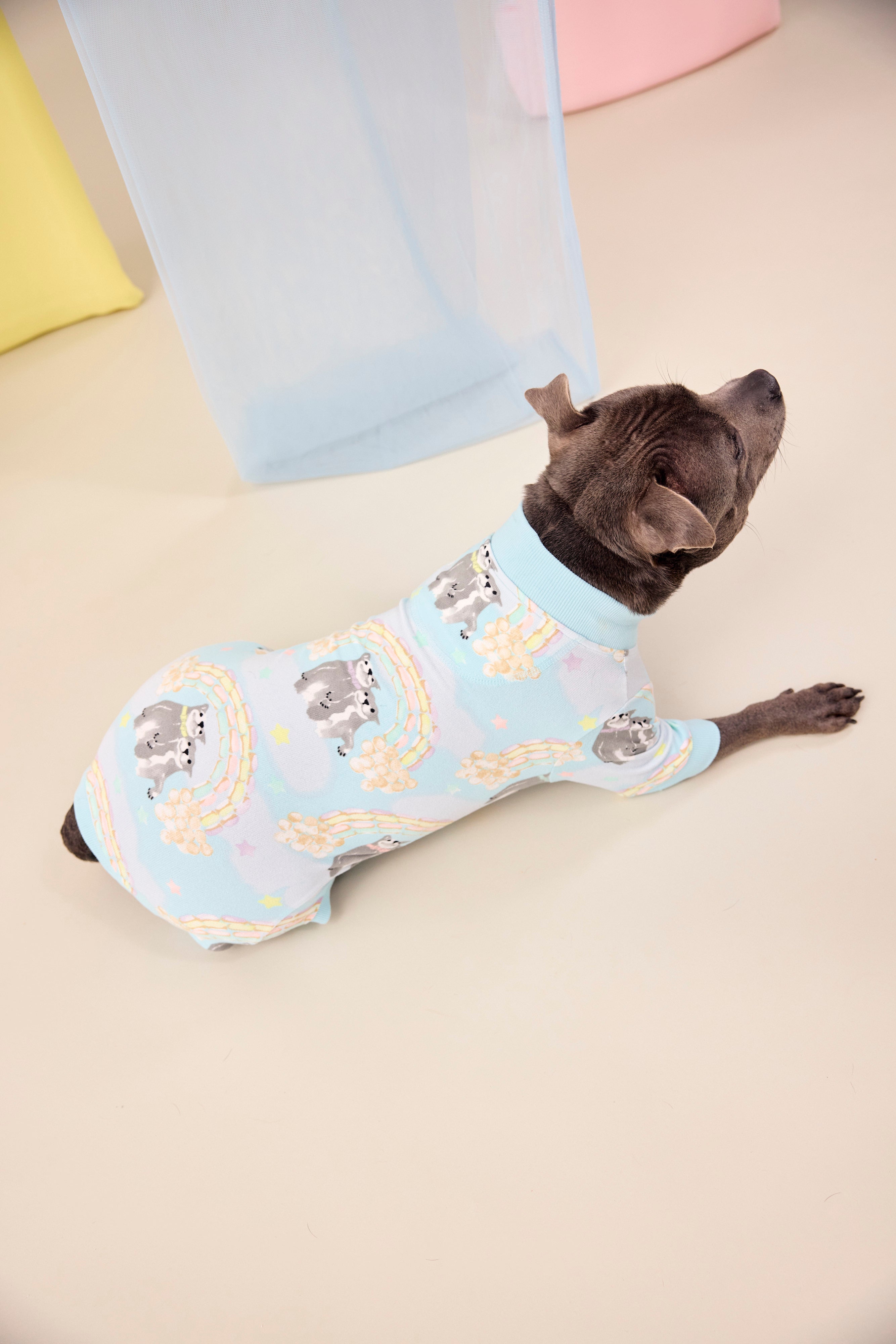 Dog Pajamas | Sweet Rainbow Dreams