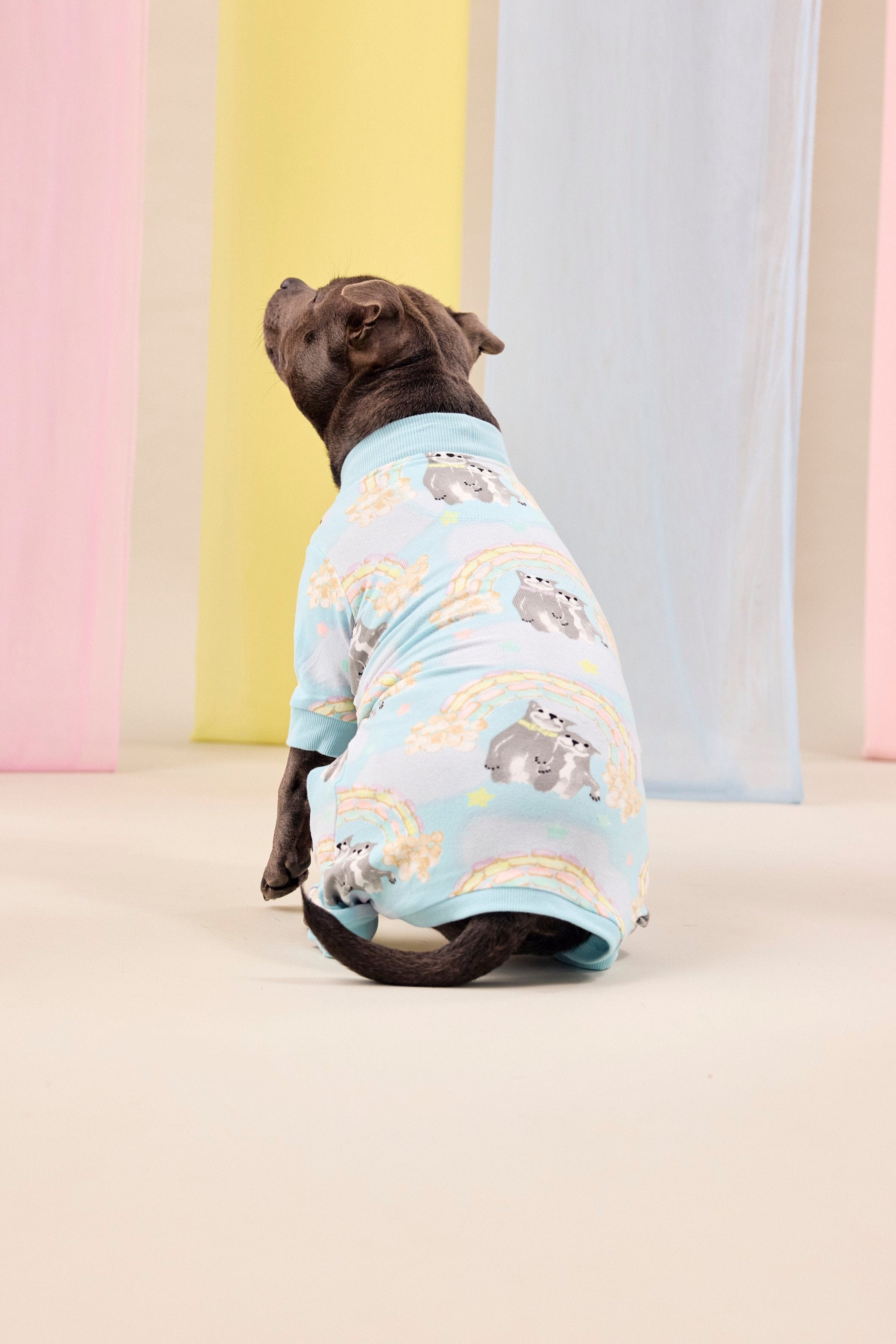 Dog Pajamas | Sweet Rainbow Dreams