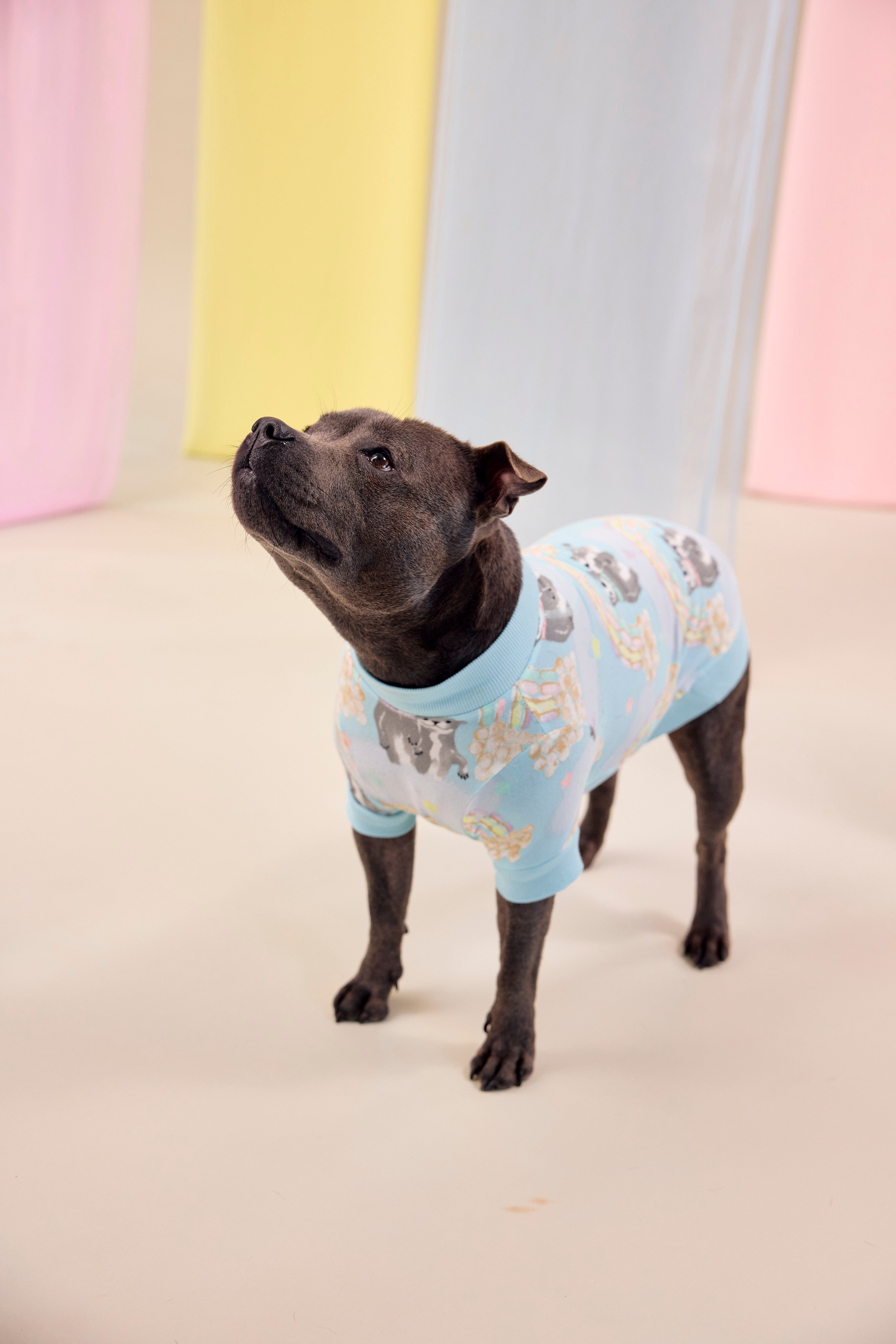 Dog Tee | Sweet Rainbow Dreams