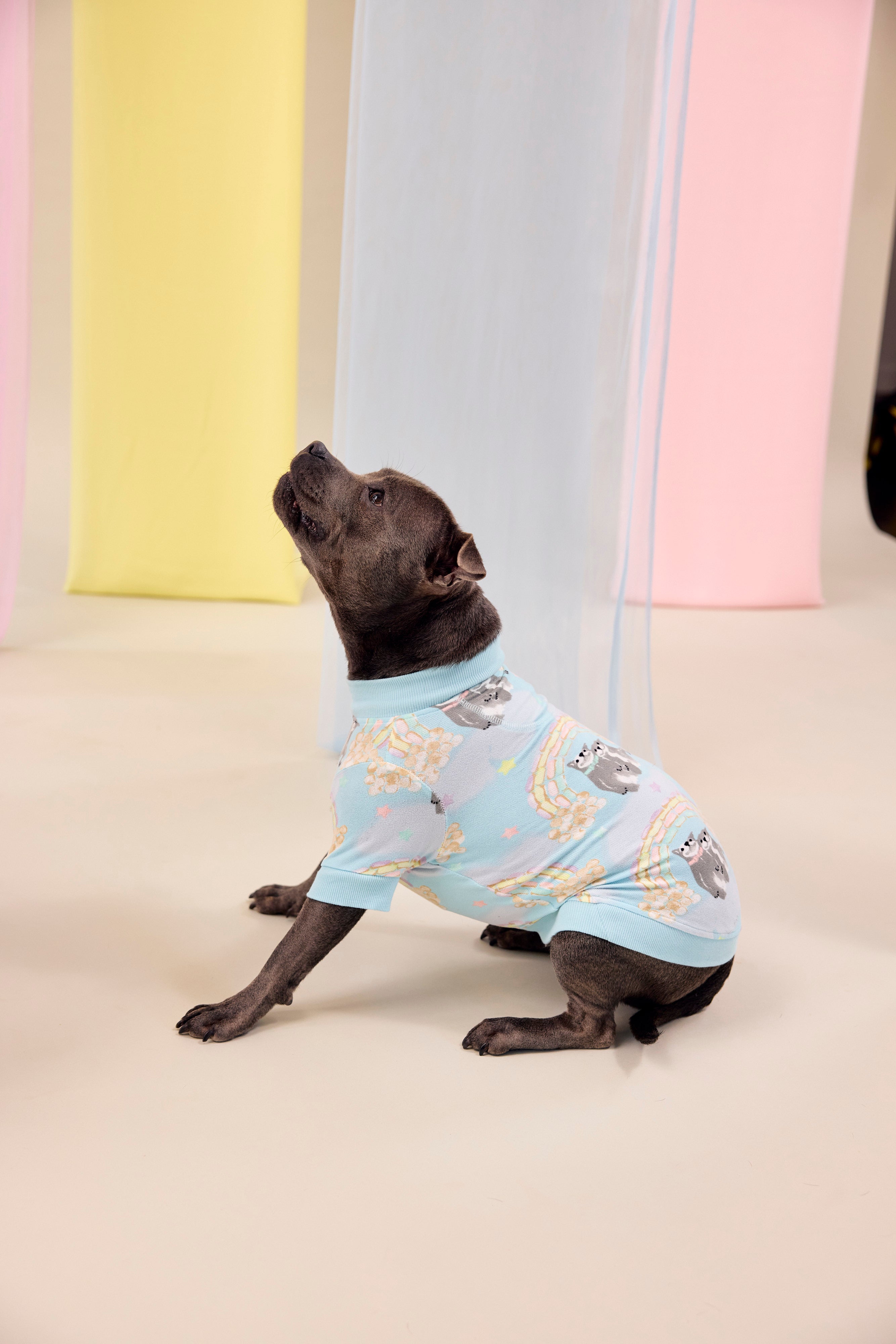 Dog Tee | Sweet Rainbow Dreams