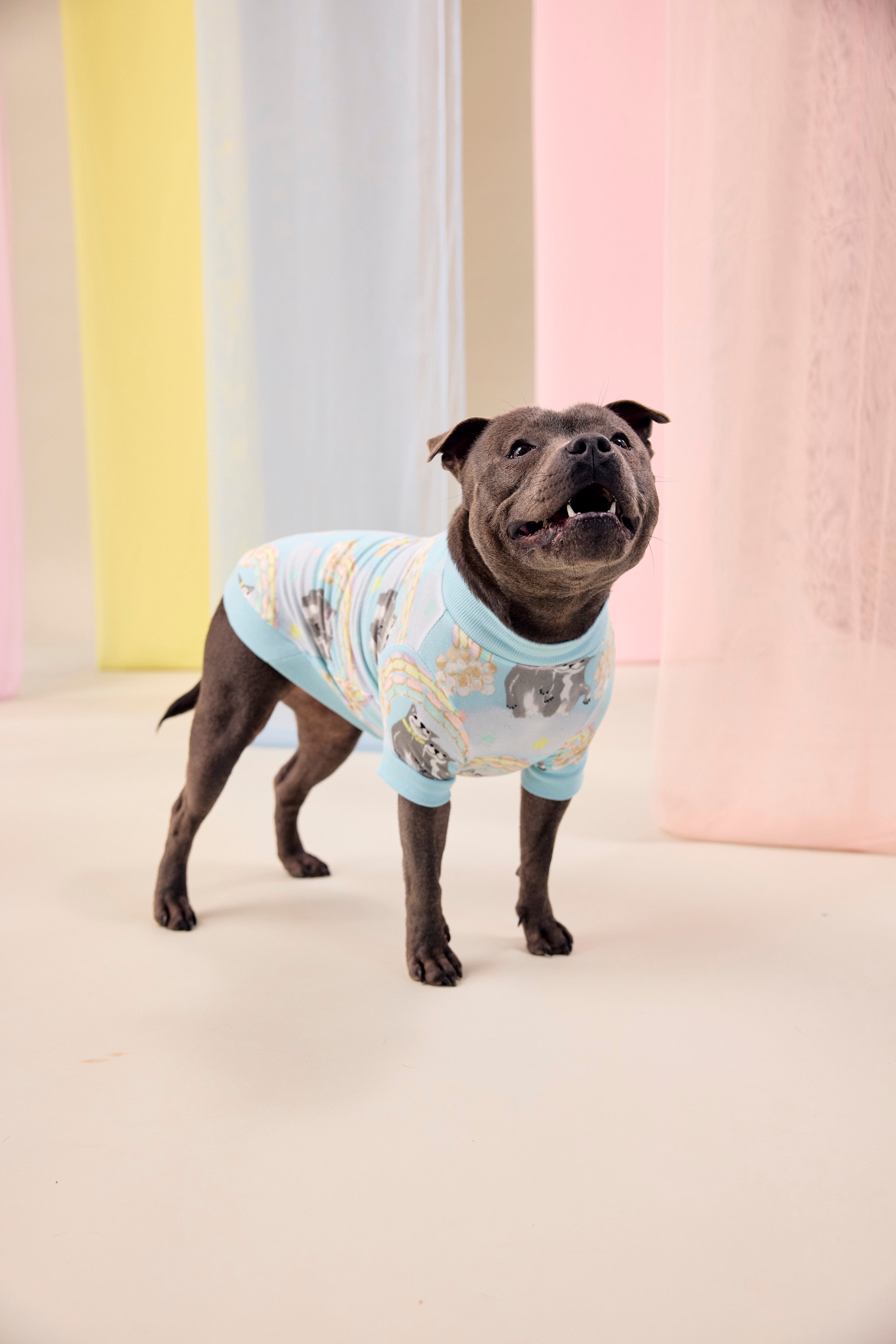 Dog Tee | Sweet Rainbow Dreams