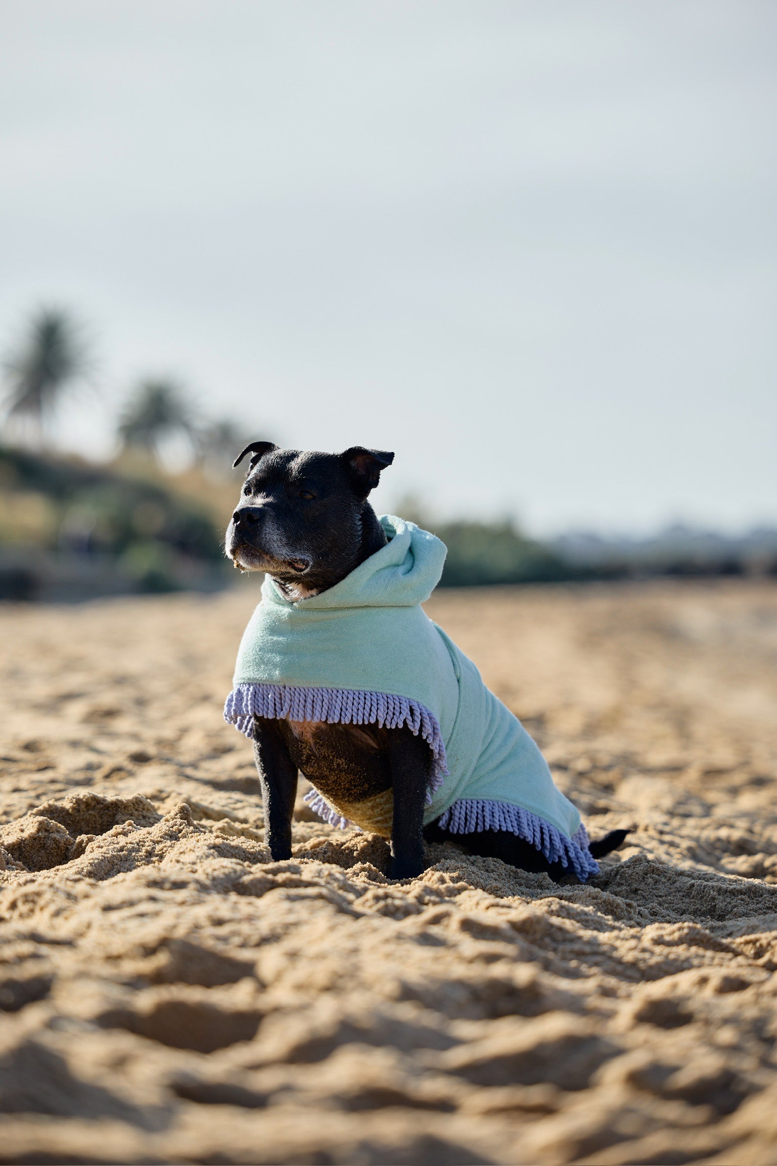 Tassel Towel Dog Robe | Minty Green