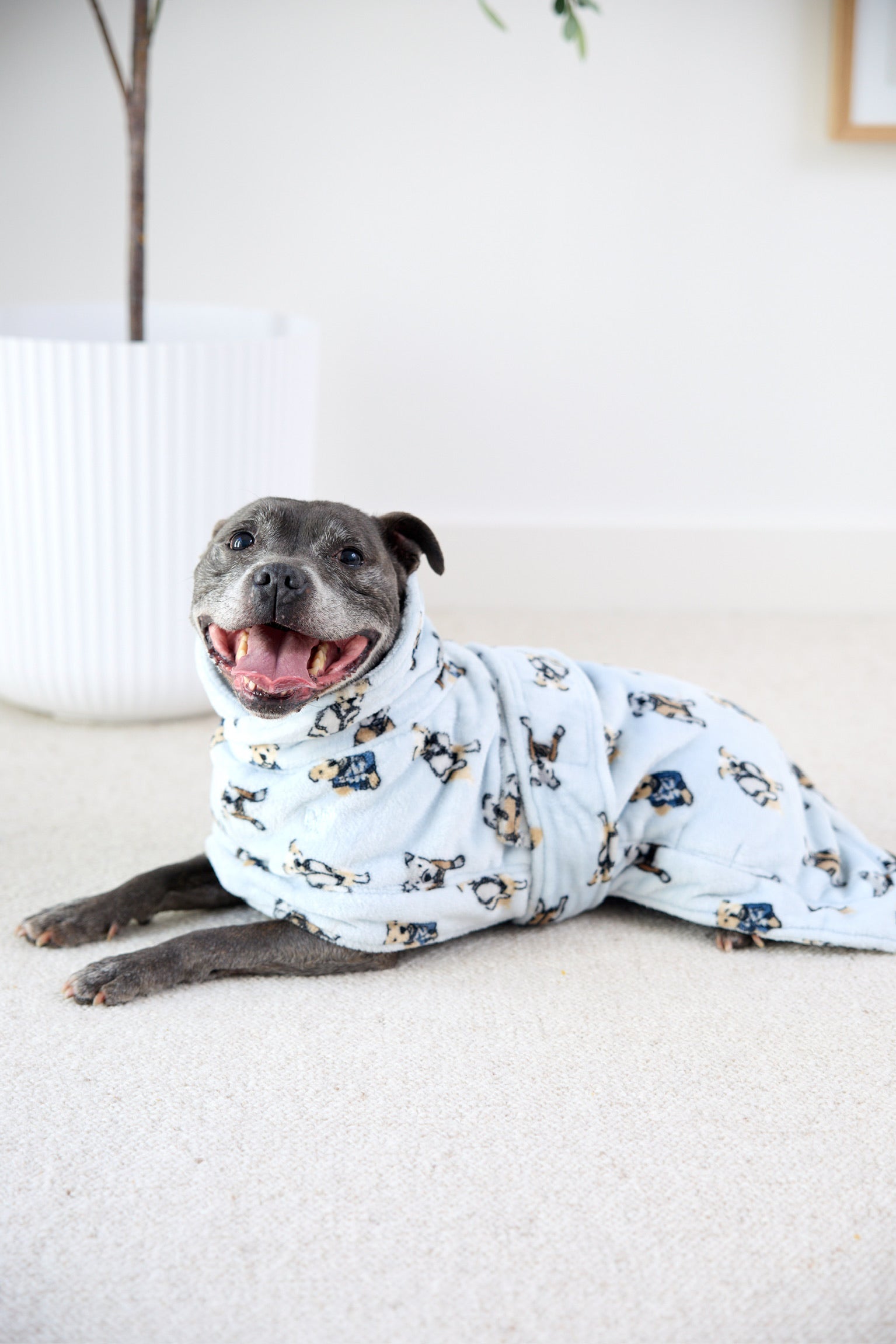 Dog Lounge Robe | Preppy Pups