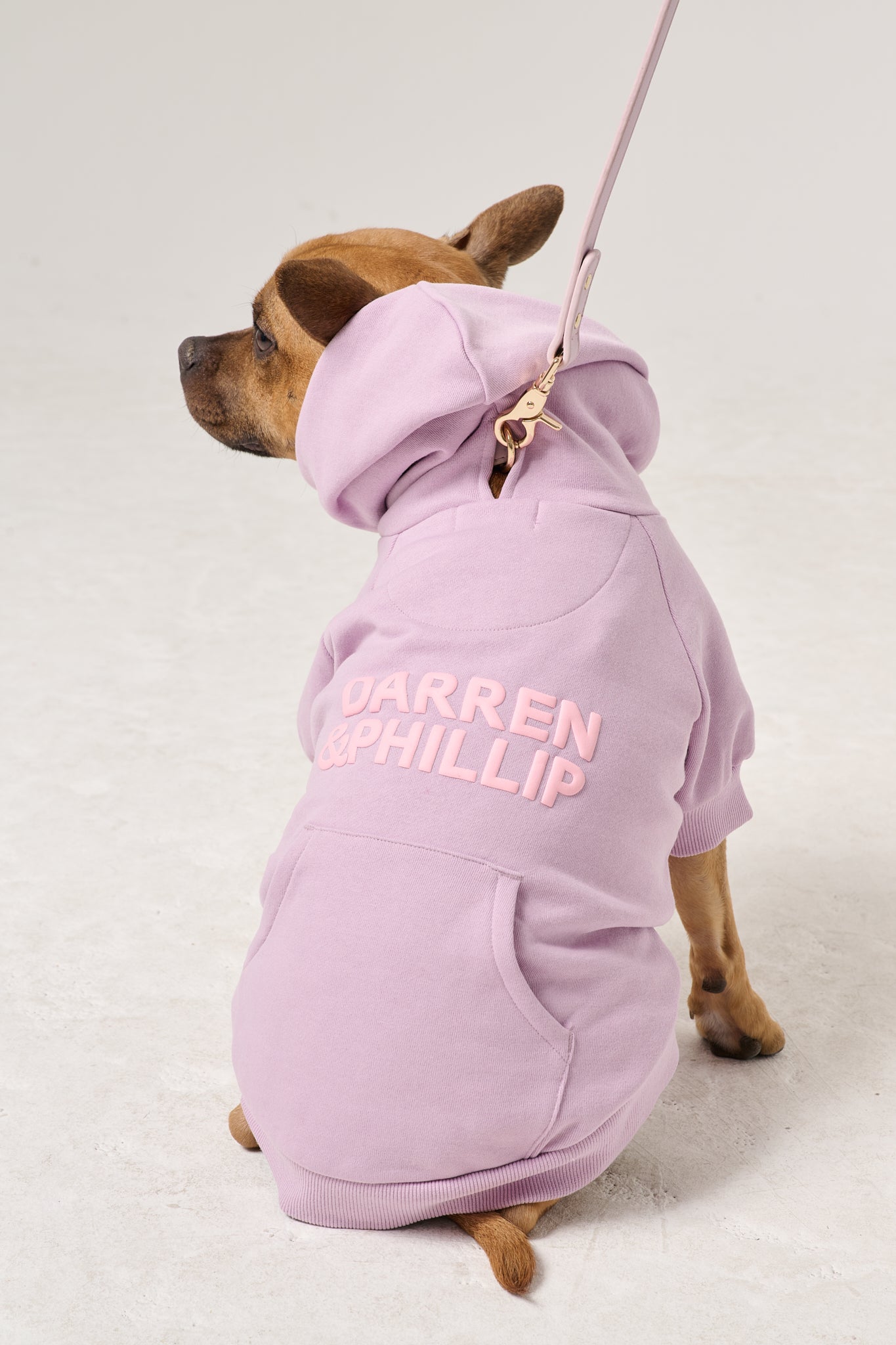 Puff Print Dog Hoodie | Lilac