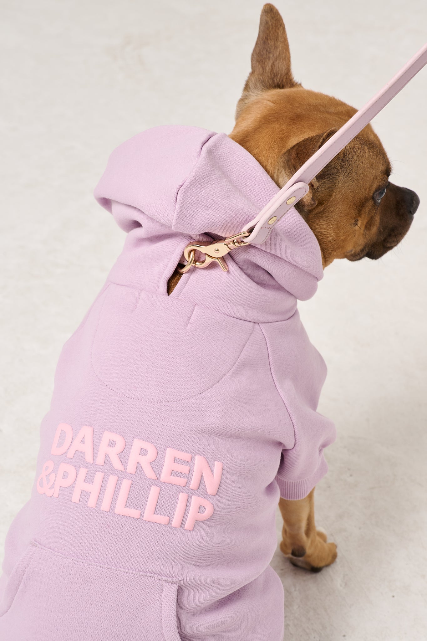 Puff Print Dog Hoodie | Lilac