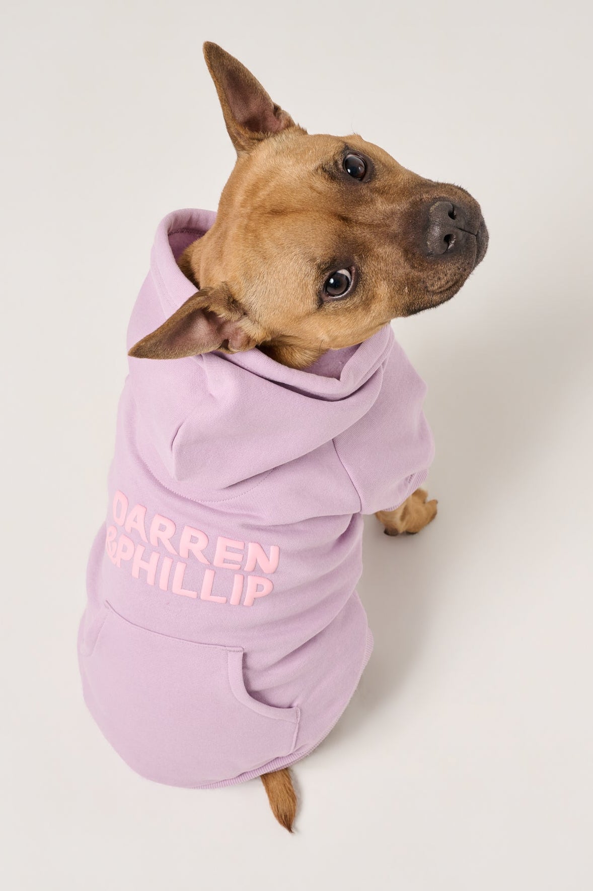 Puff Print Dog Hoodie | Lilac