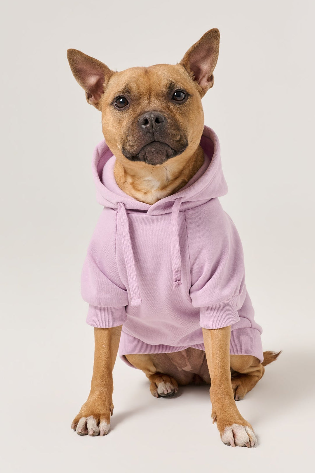 Puff Print Dog Hoodie | Lilac