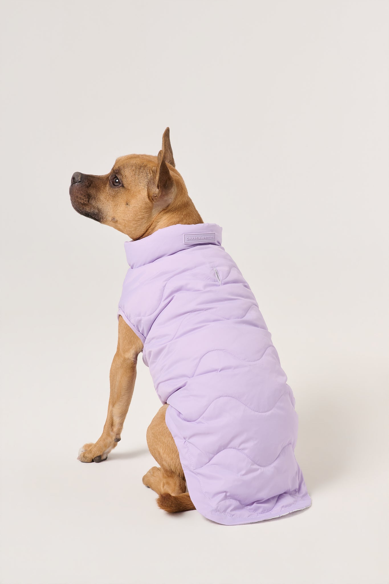 Cloud Dog Puffer Vest | Lilac