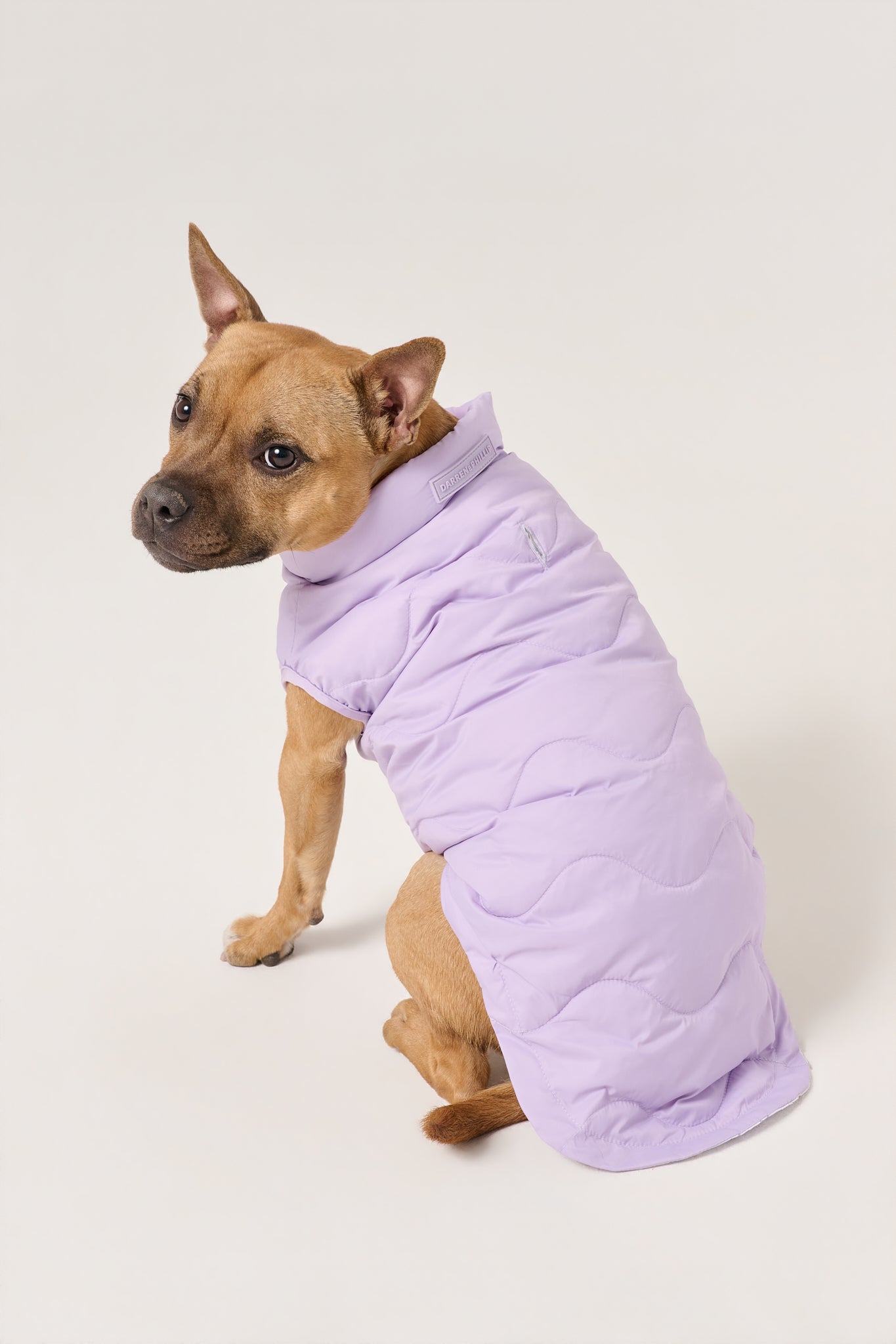 Cloud Dog Puffer Vest | Lilac
