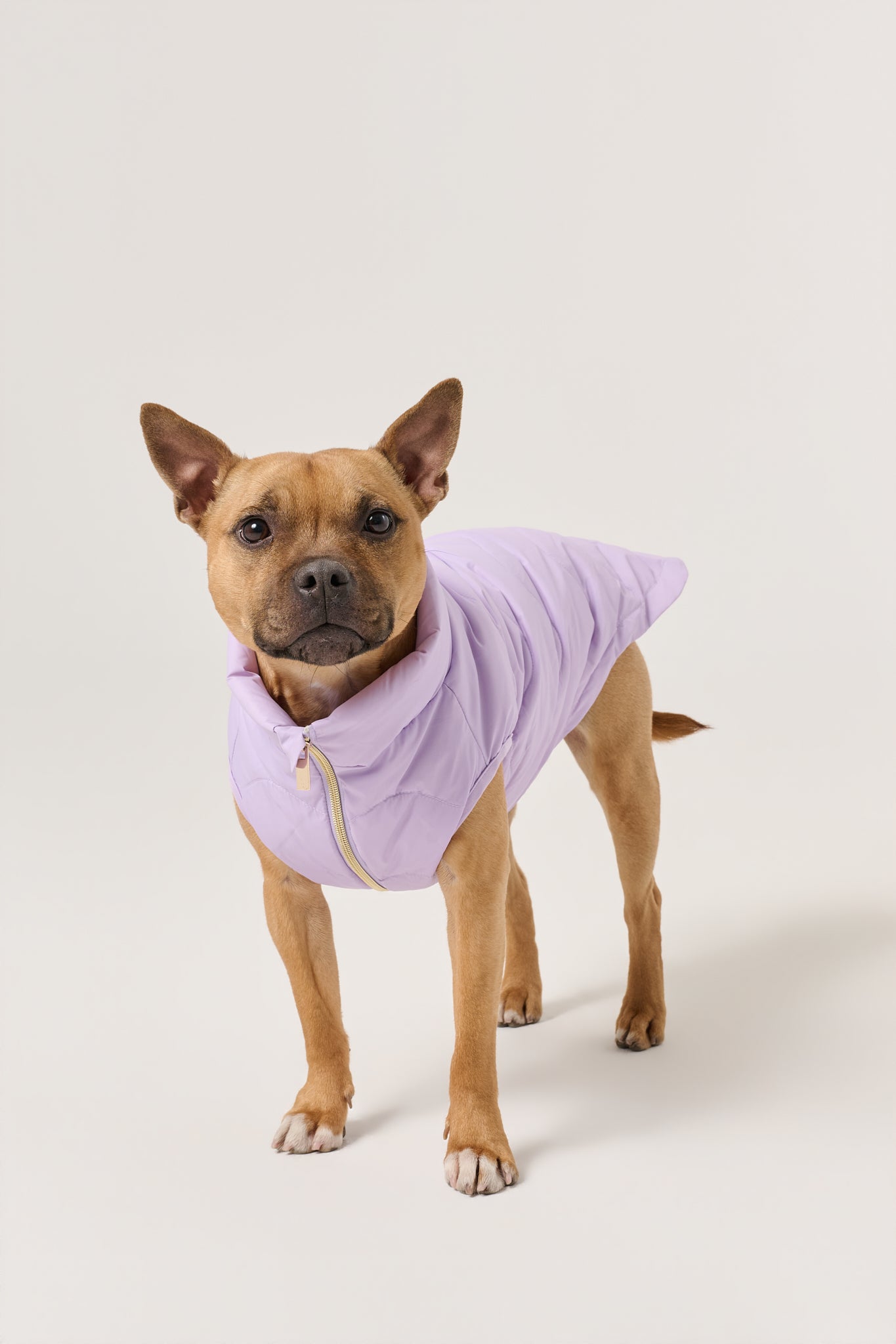 Cloud Dog Puffer Vest | Lilac