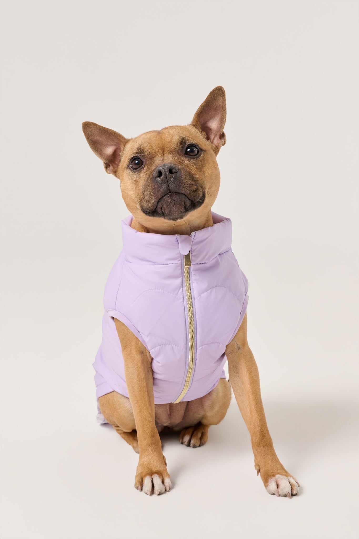 Cloud Dog Puffer Vest | Lilac