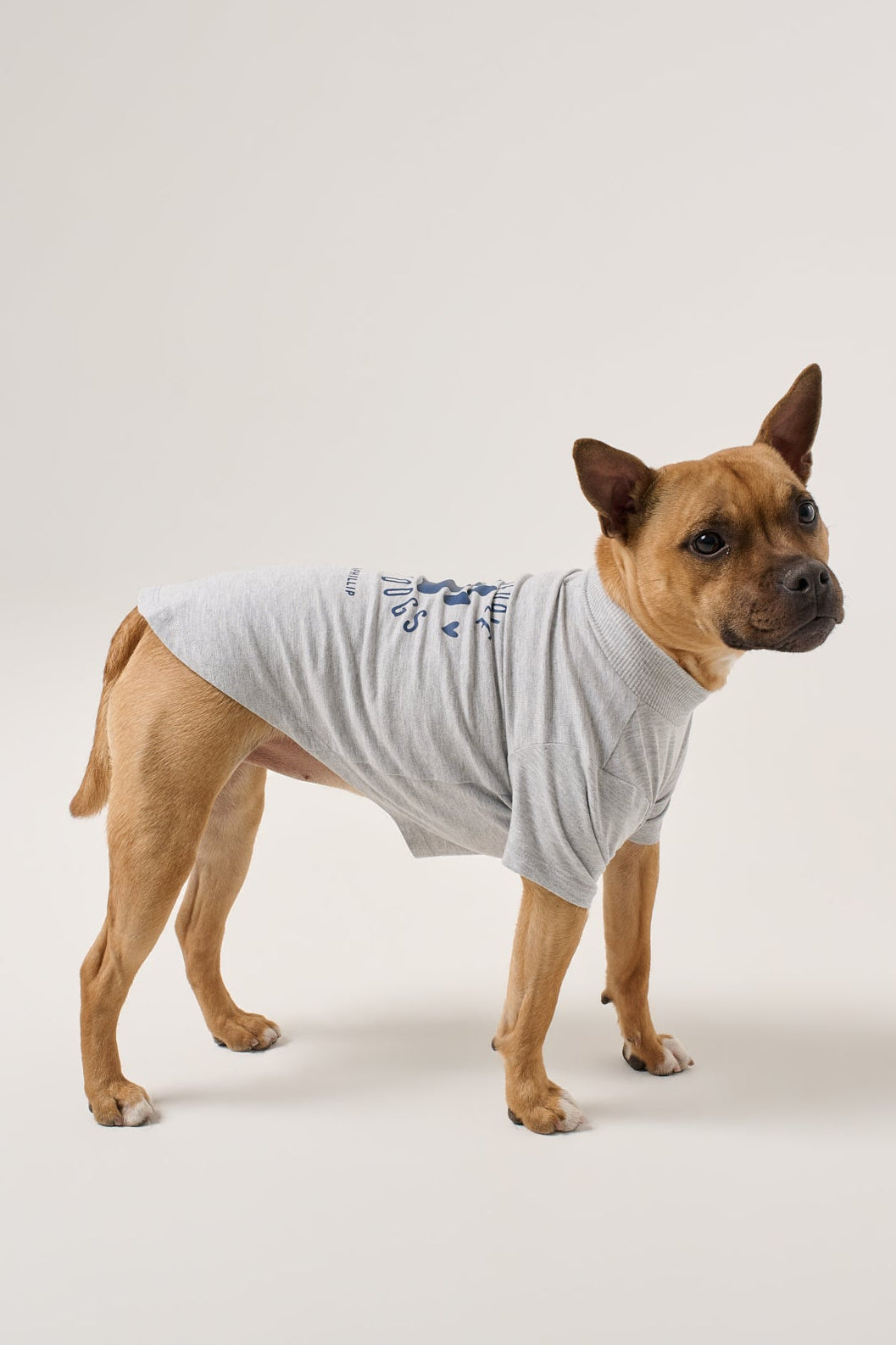 Less People More Dogs Dog Tee | Heather Gray