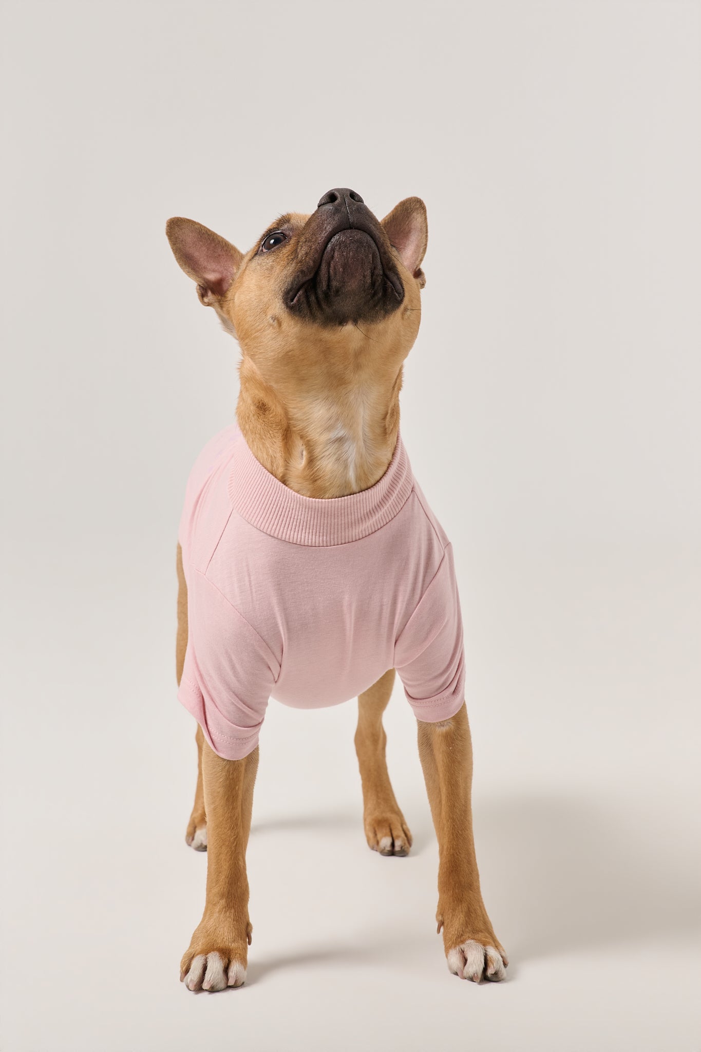 Less People More Dogs Dog Tee | Pink