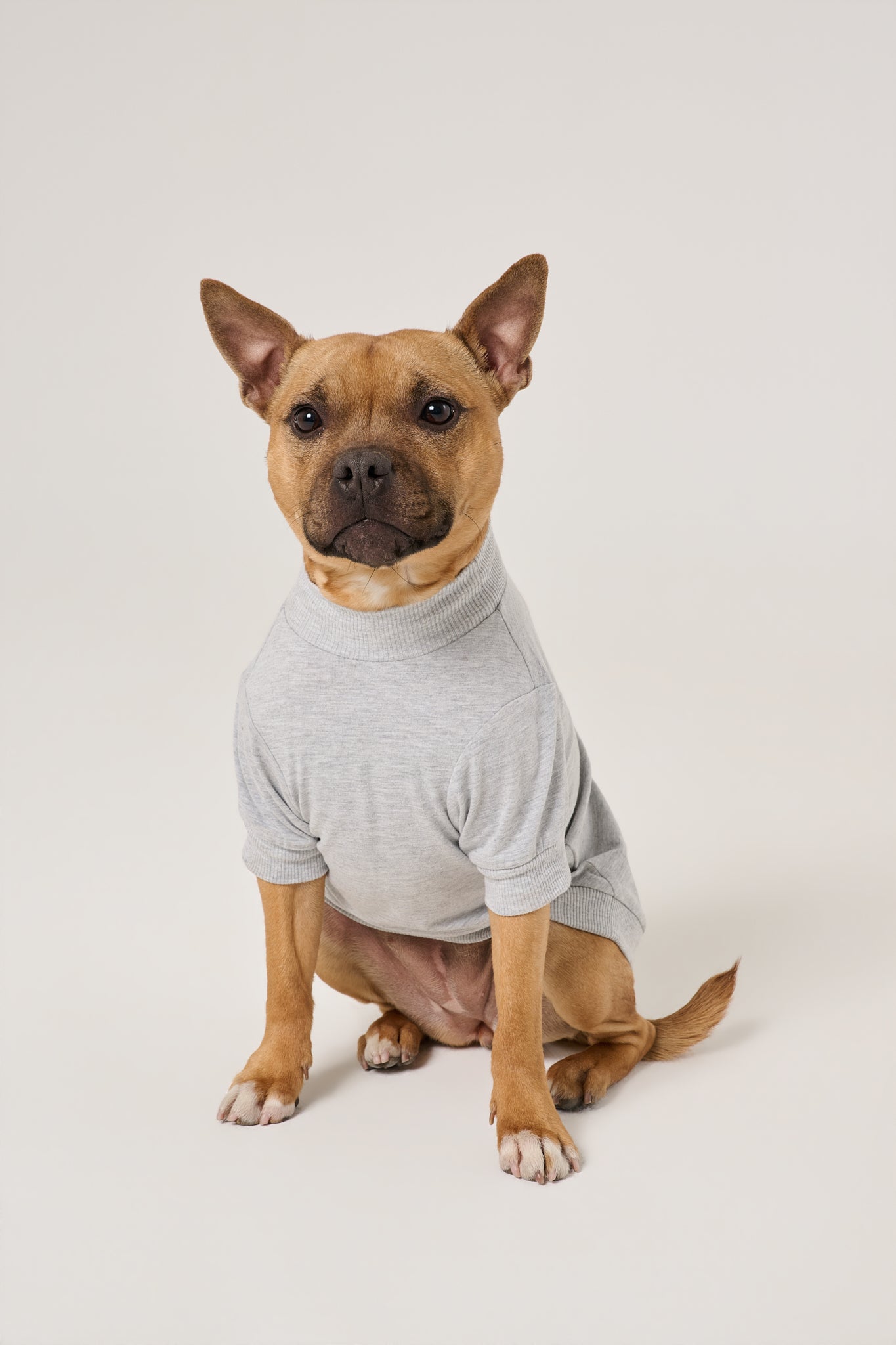 Love You More Dog Tee | Heather Gray