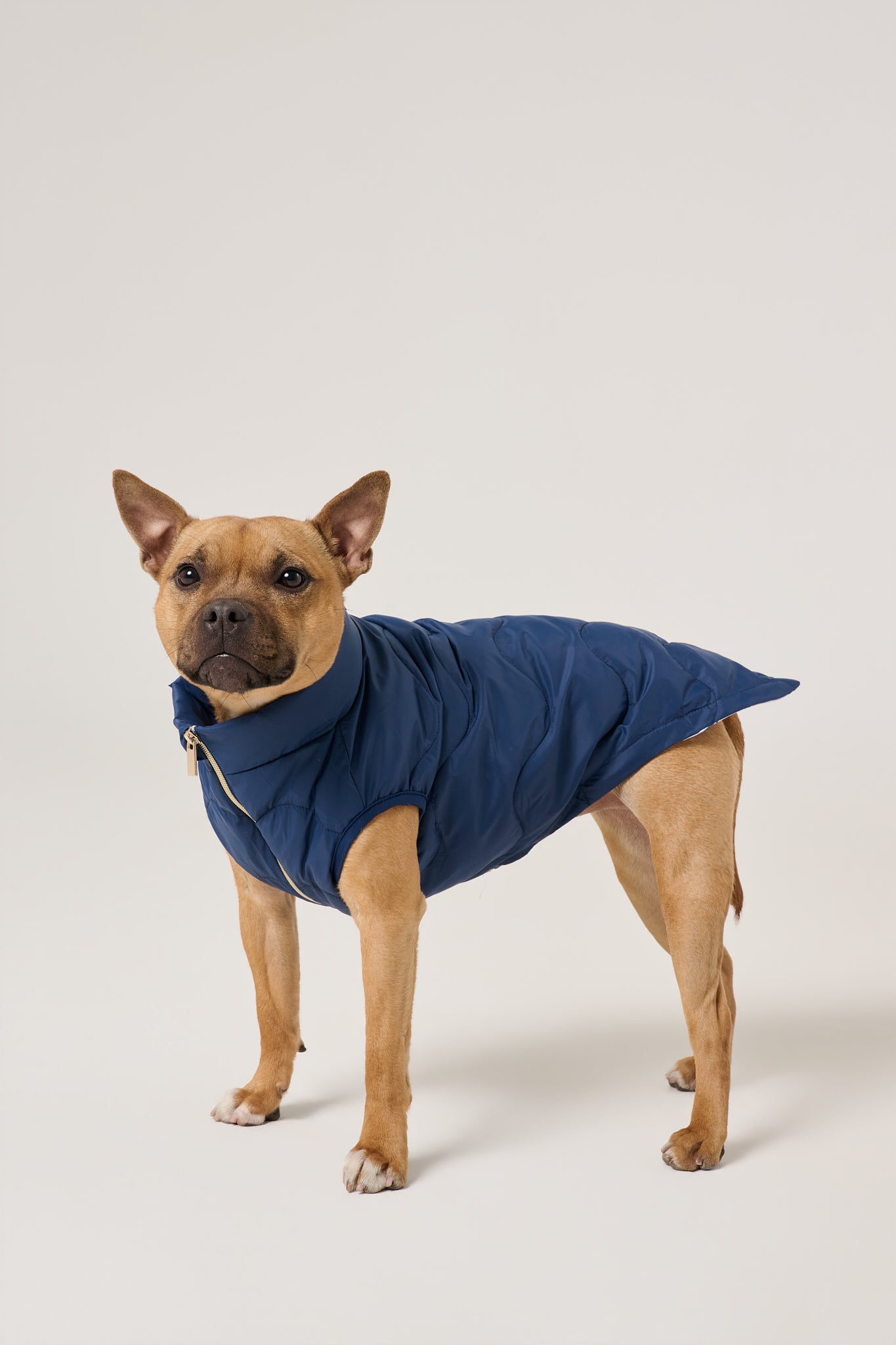 Cloud Dog Puffer Vest | Marine