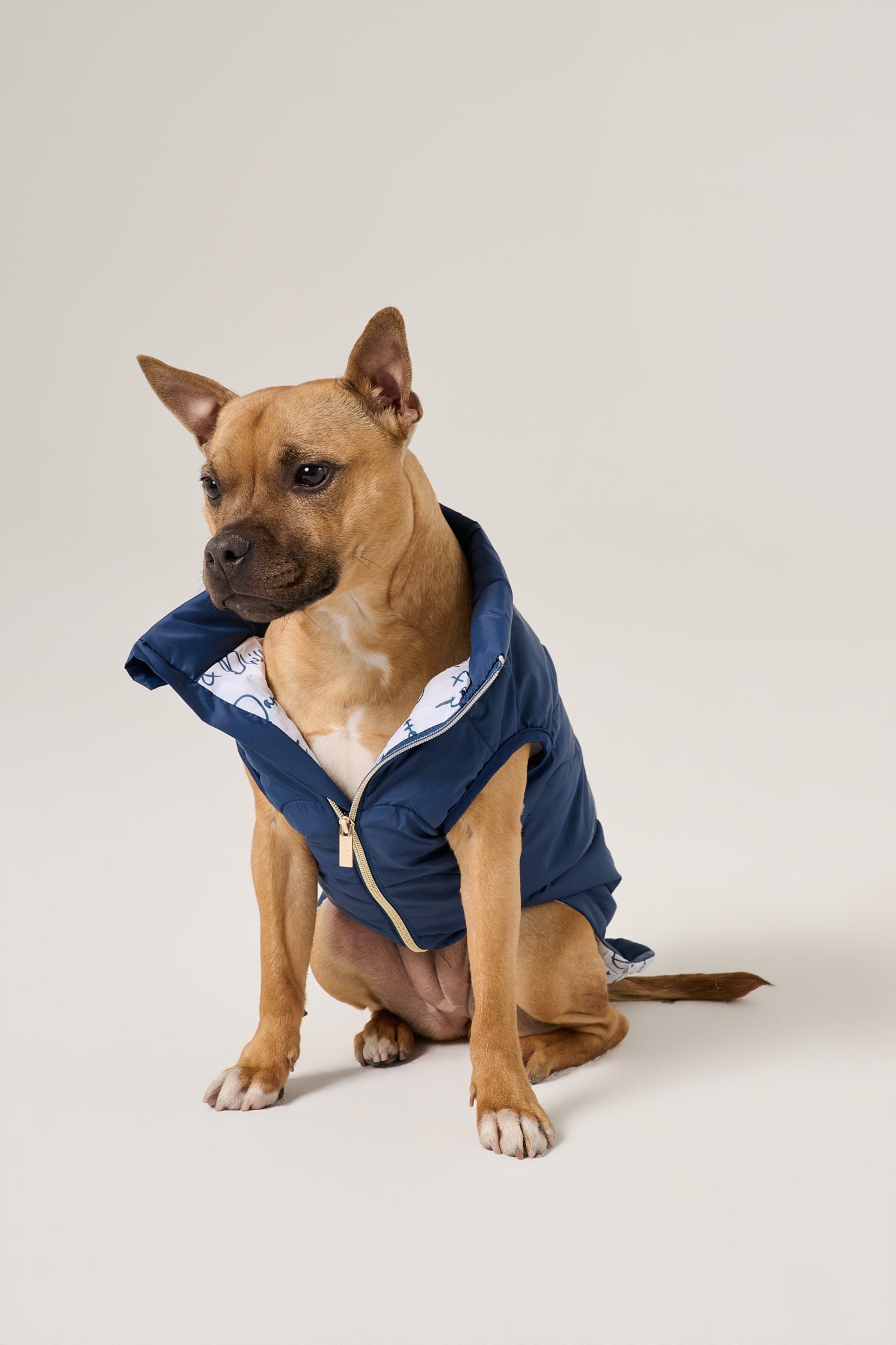 Cloud Dog Puffer Vest | Marine