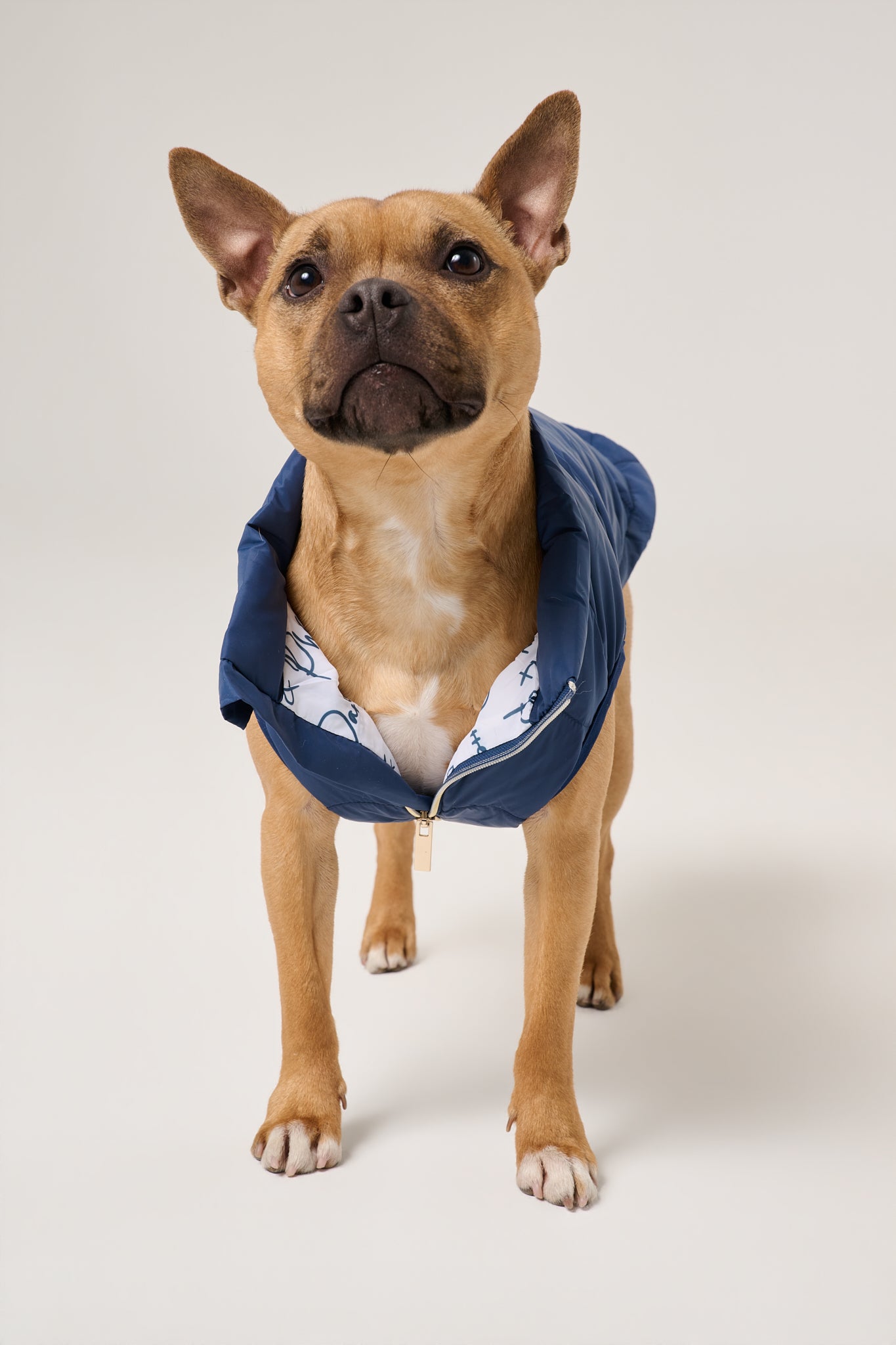 Cloud Dog Puffer Vest | Marine