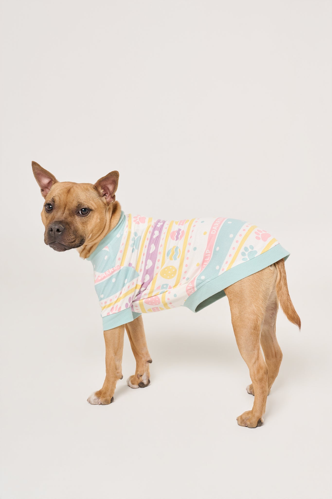 Dog Tee | Feelin' Eggstra