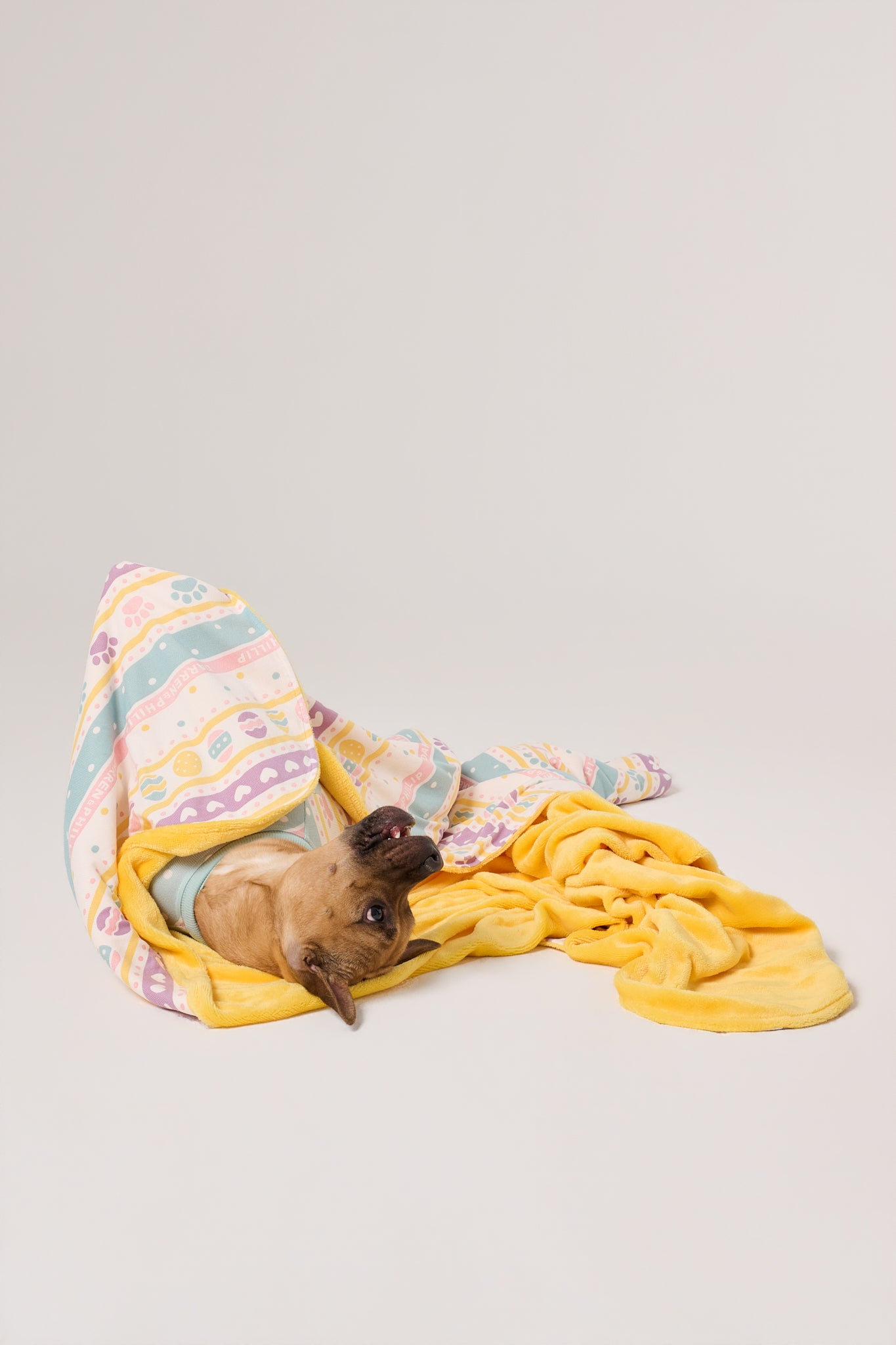 Dog Blanket | Feelin' Eggstra