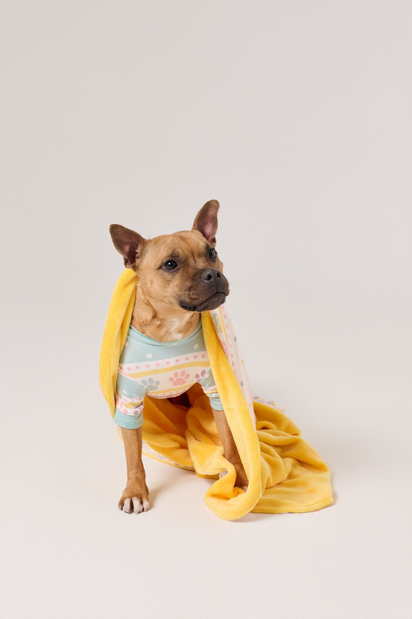 Dog Blanket | Feelin' Eggstra