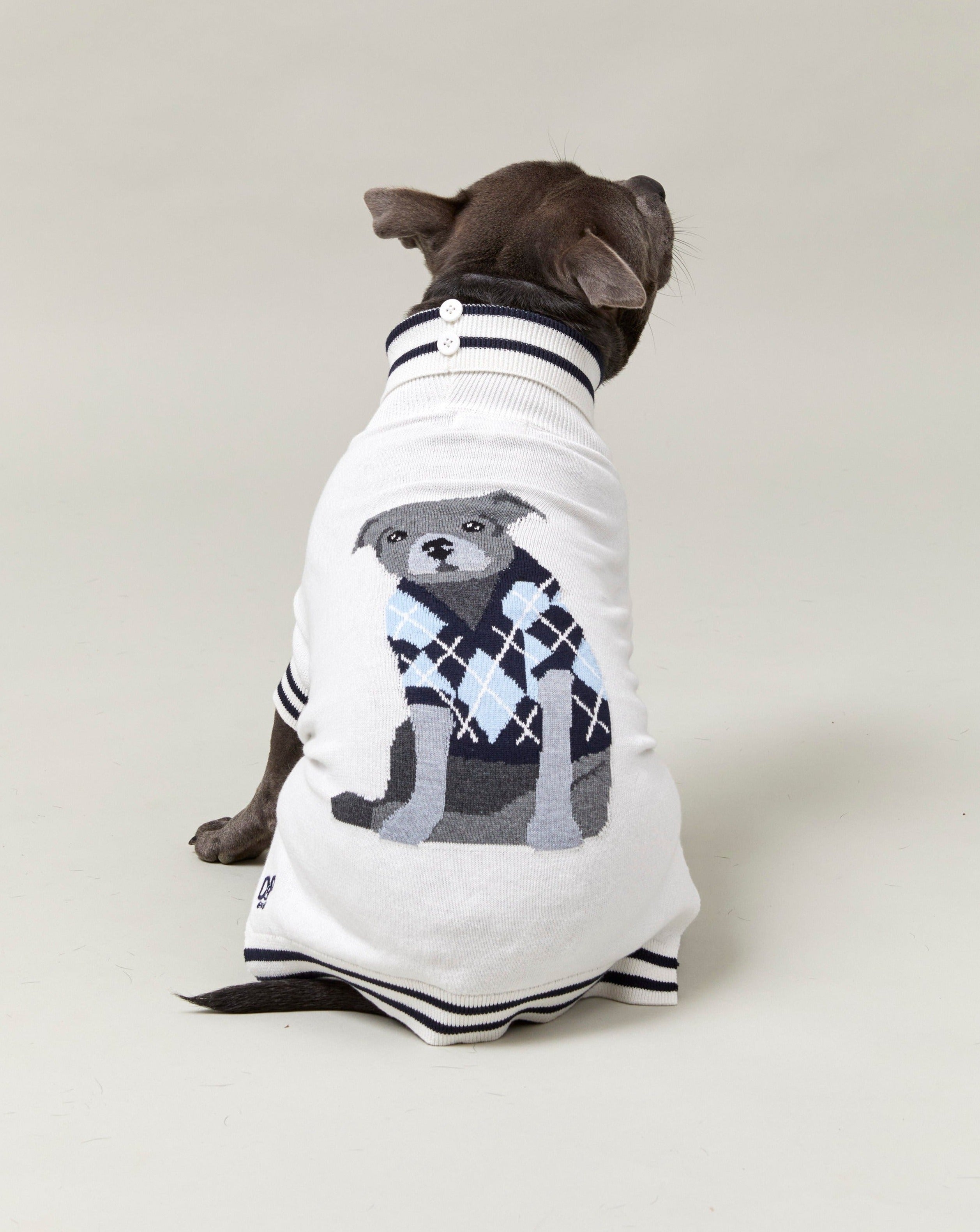 The Stafford Knit Bundle - Blue