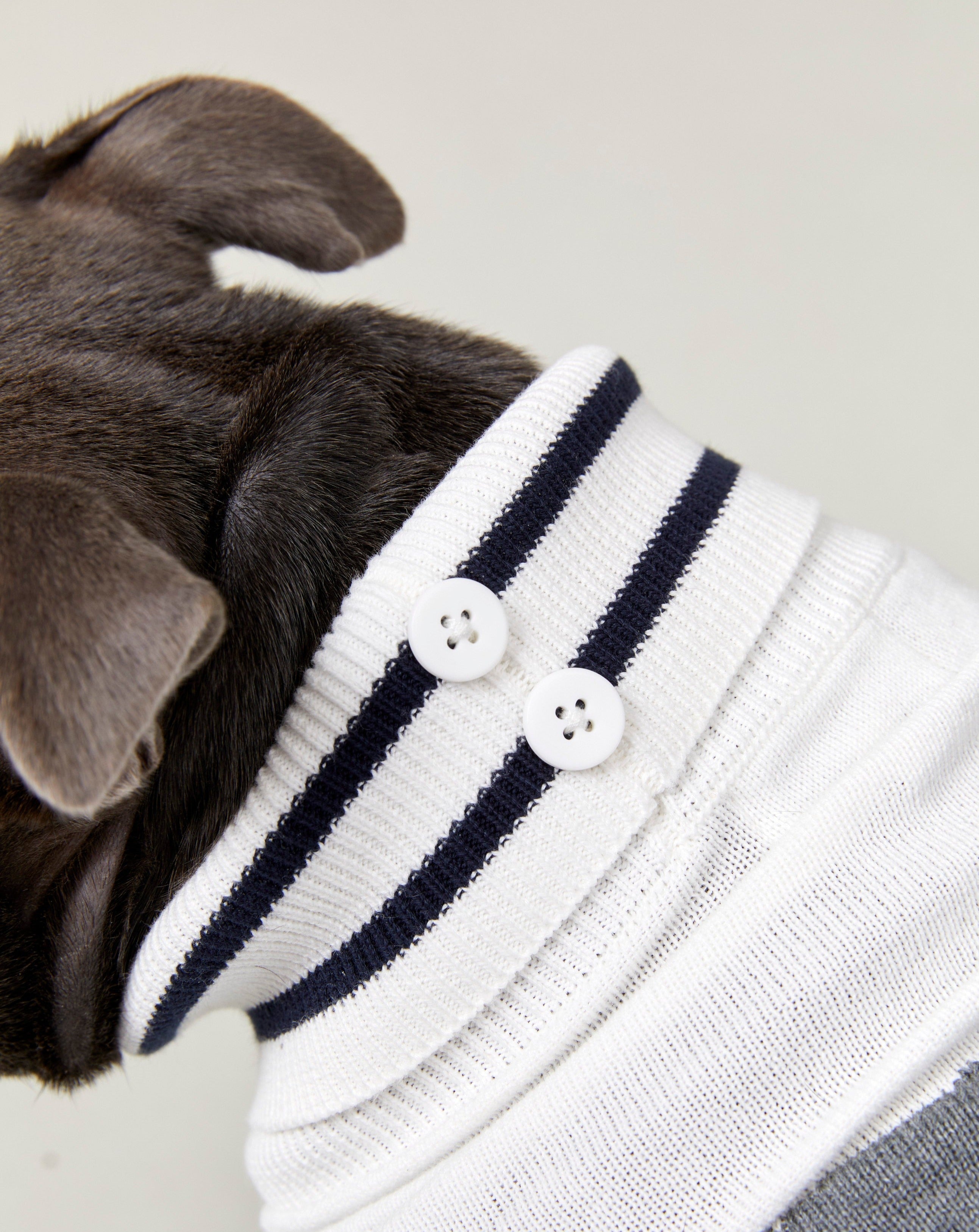 Neck detail of the Darren and Phillip dog jumper.