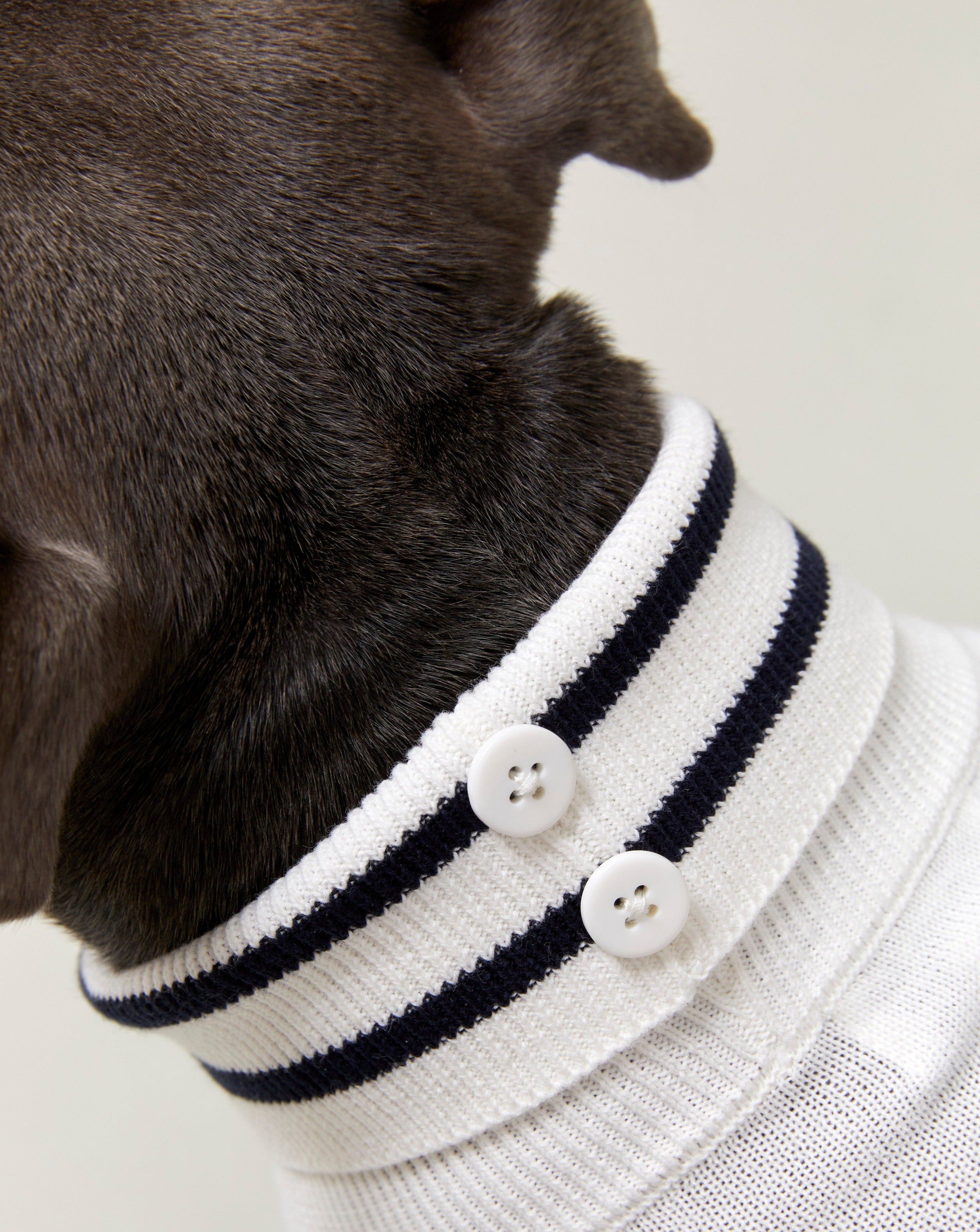 Neck detail of the Darren and Phillip dog jumper.