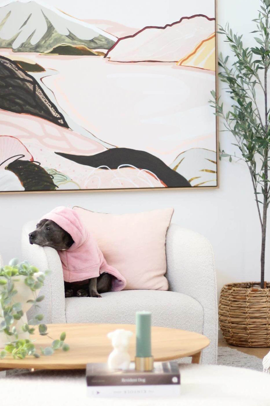 Dog Lounge Robe | Rose