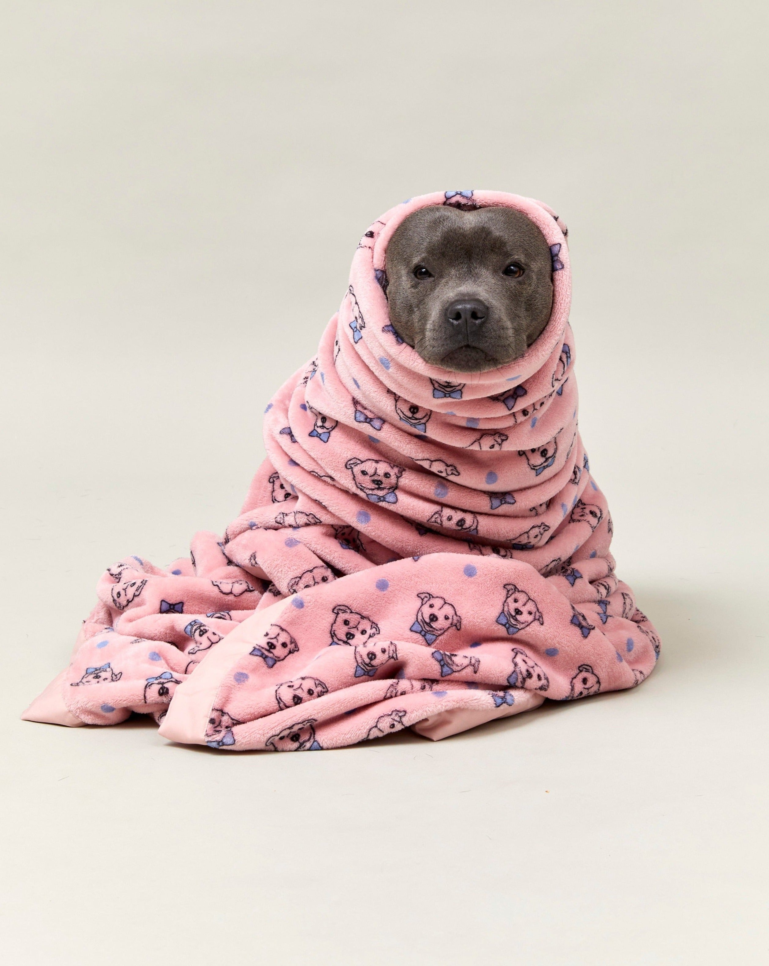 Darren and Phillip fleece dog blanket.