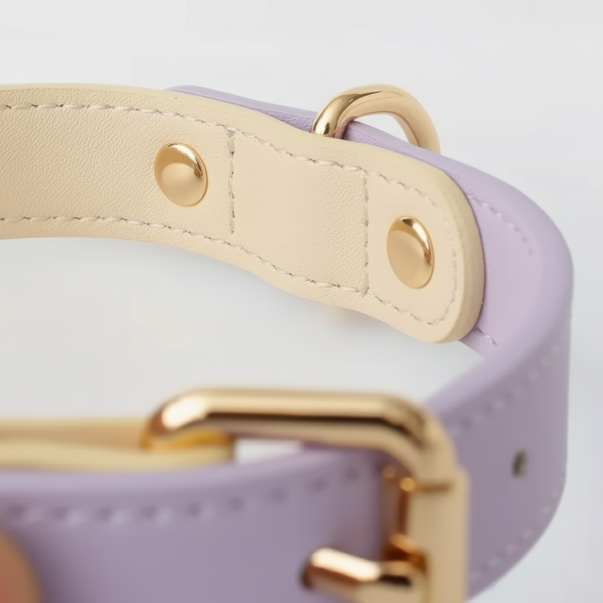Capri Leather Collar & Leash Set - Lilac