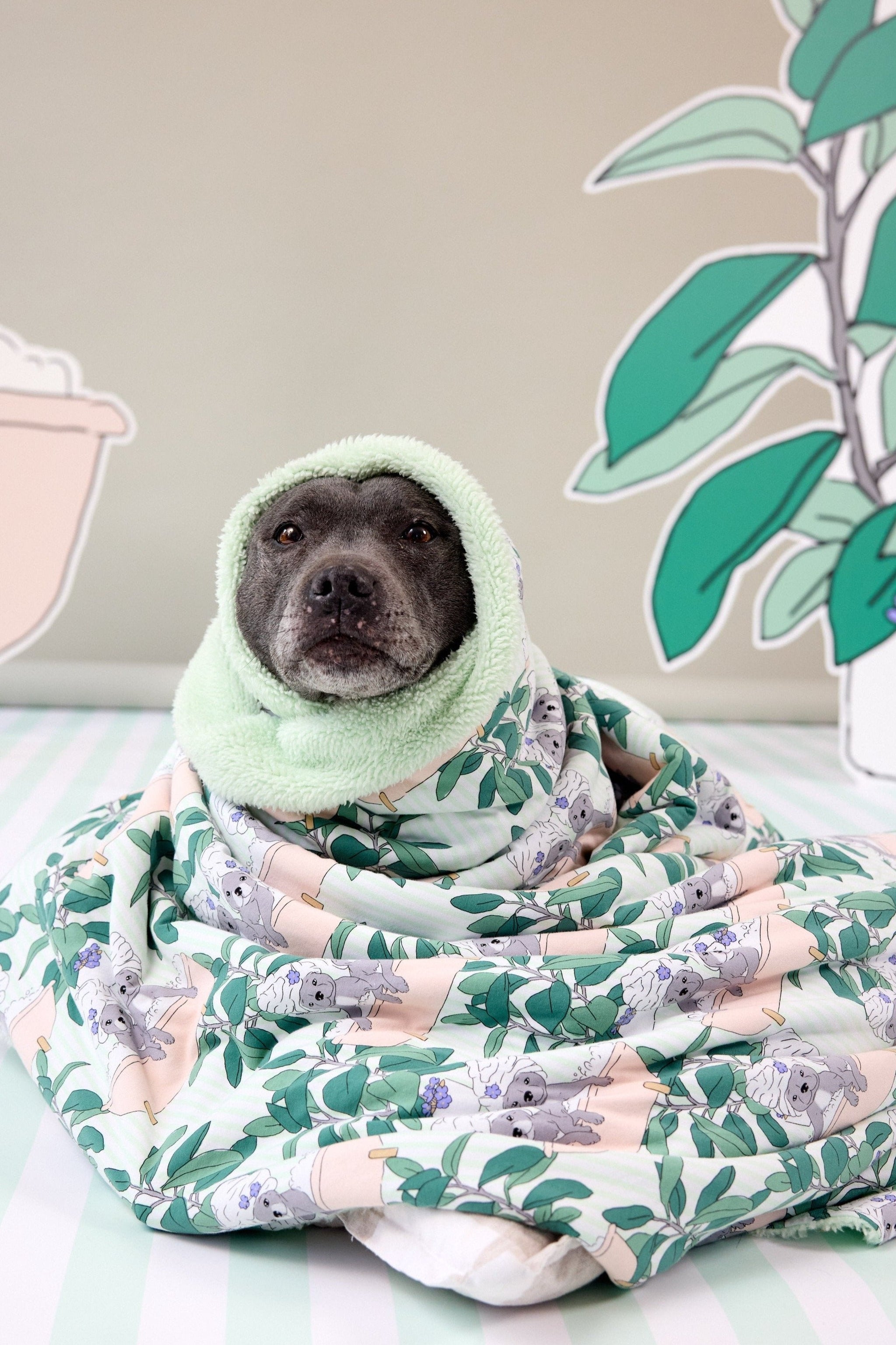 Throw Blanket Pug Baby Blanket Personalized Custom Pet Pug Fleece