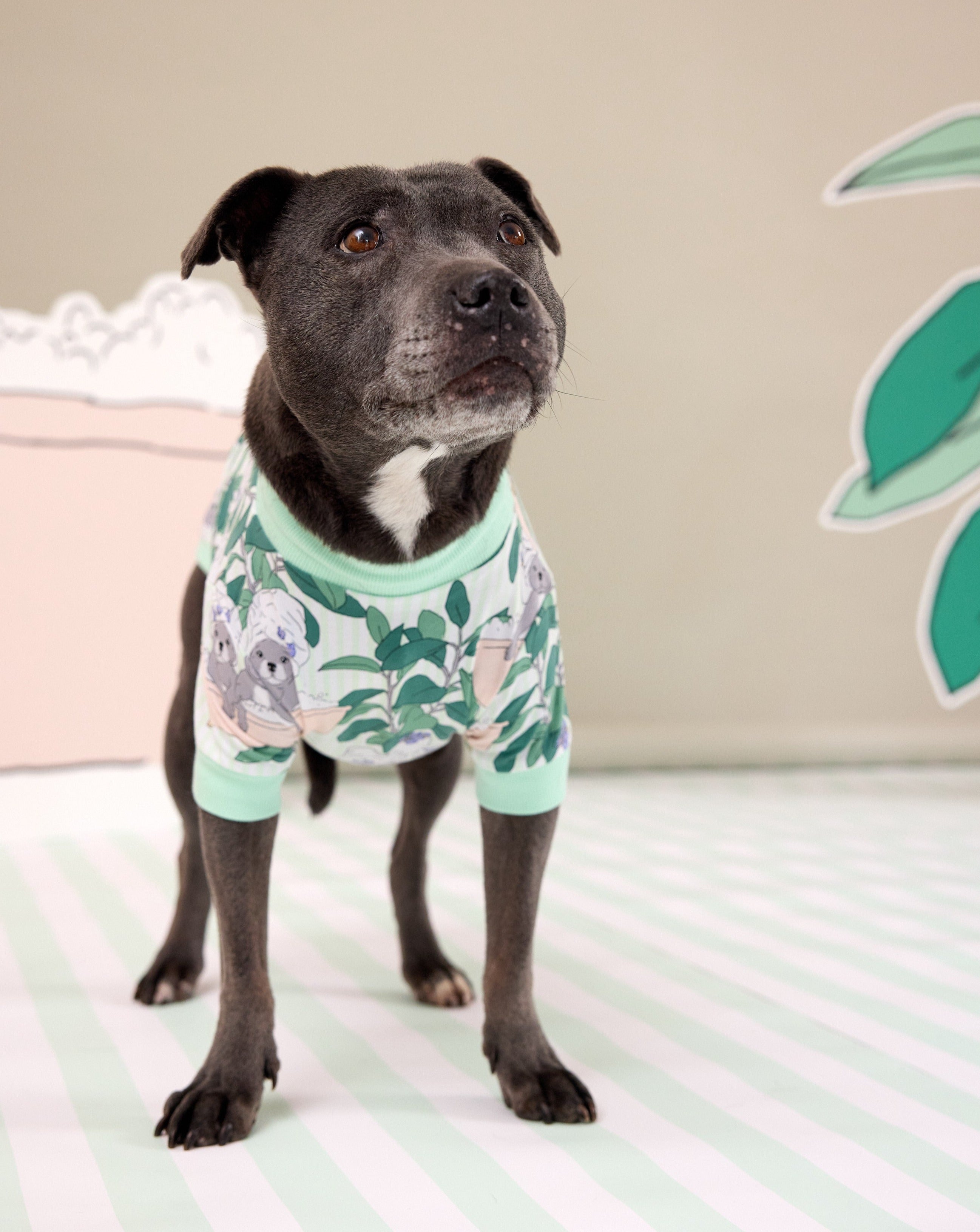 Darren and Phillip printed dog PJs