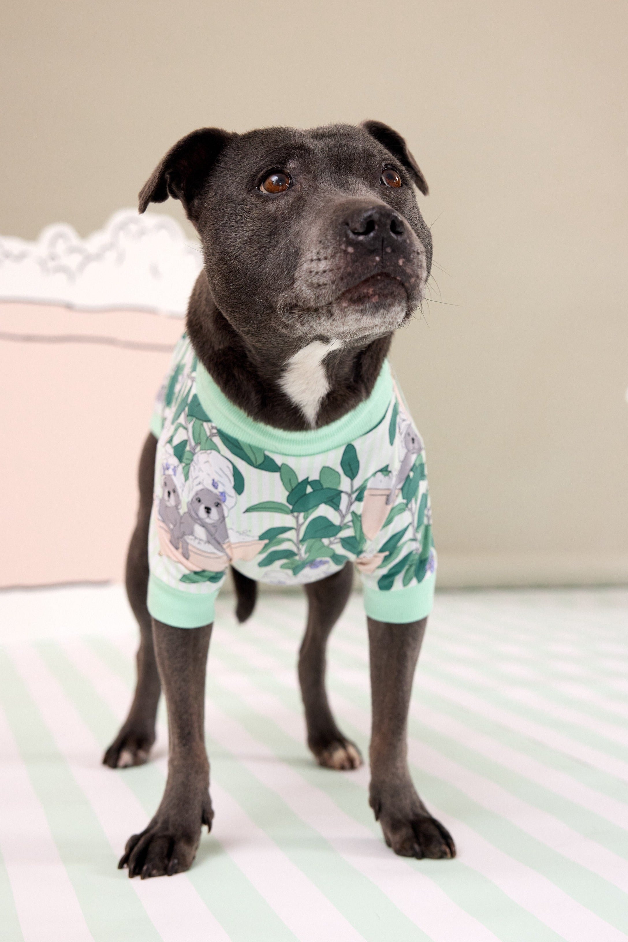 Darren and Phillip printed dog PJs