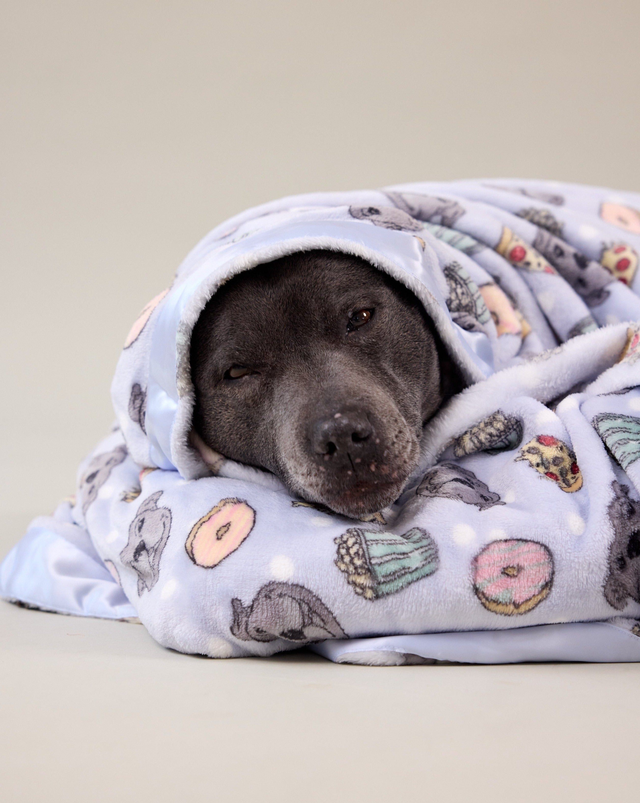 Philly's Favorite Fings Blanket