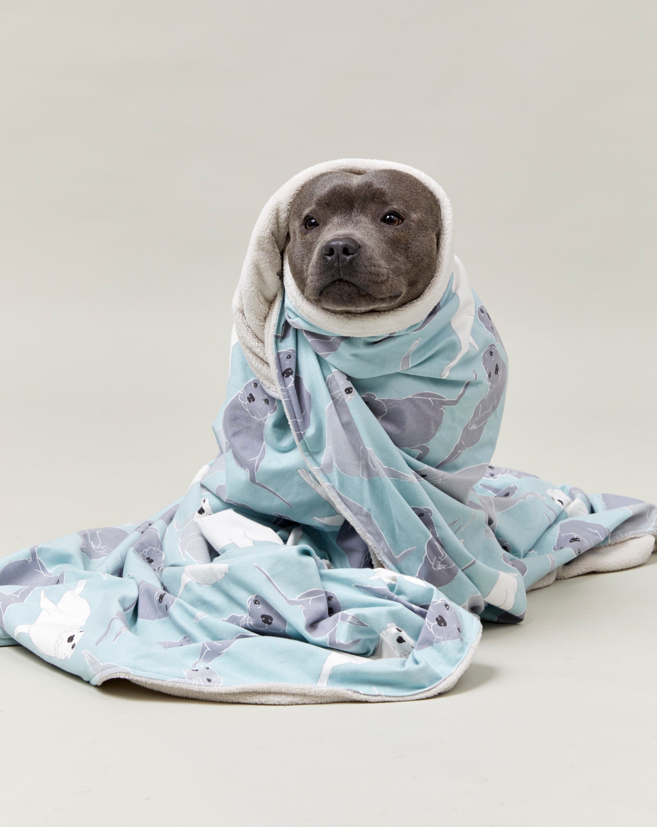 Sealy Staffies Dog Blanket