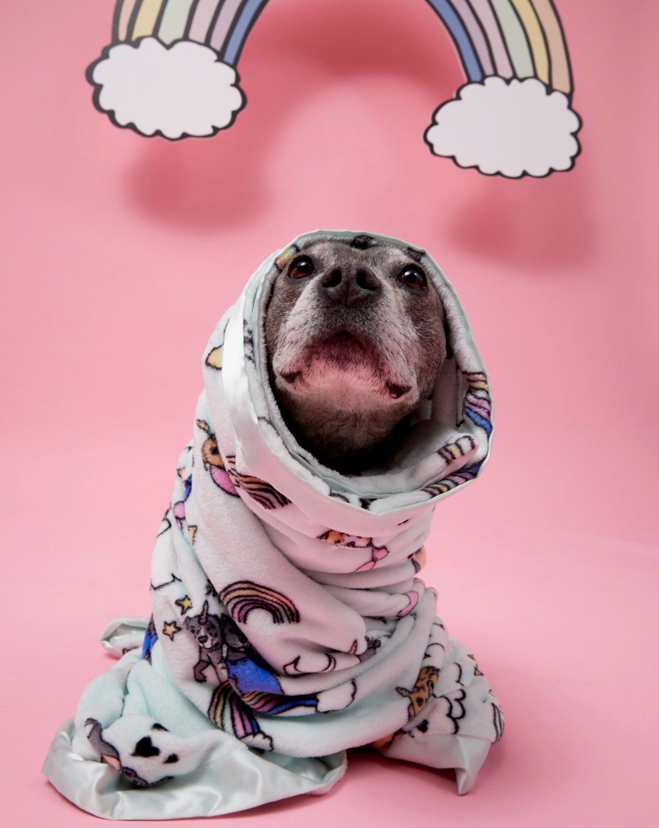 Stafficorn and Rainbows Dog Blanket