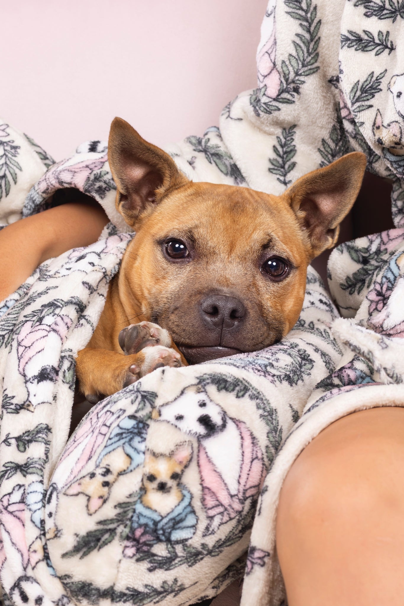 Dog Lounger Blanket Bed | Pawfect Pals