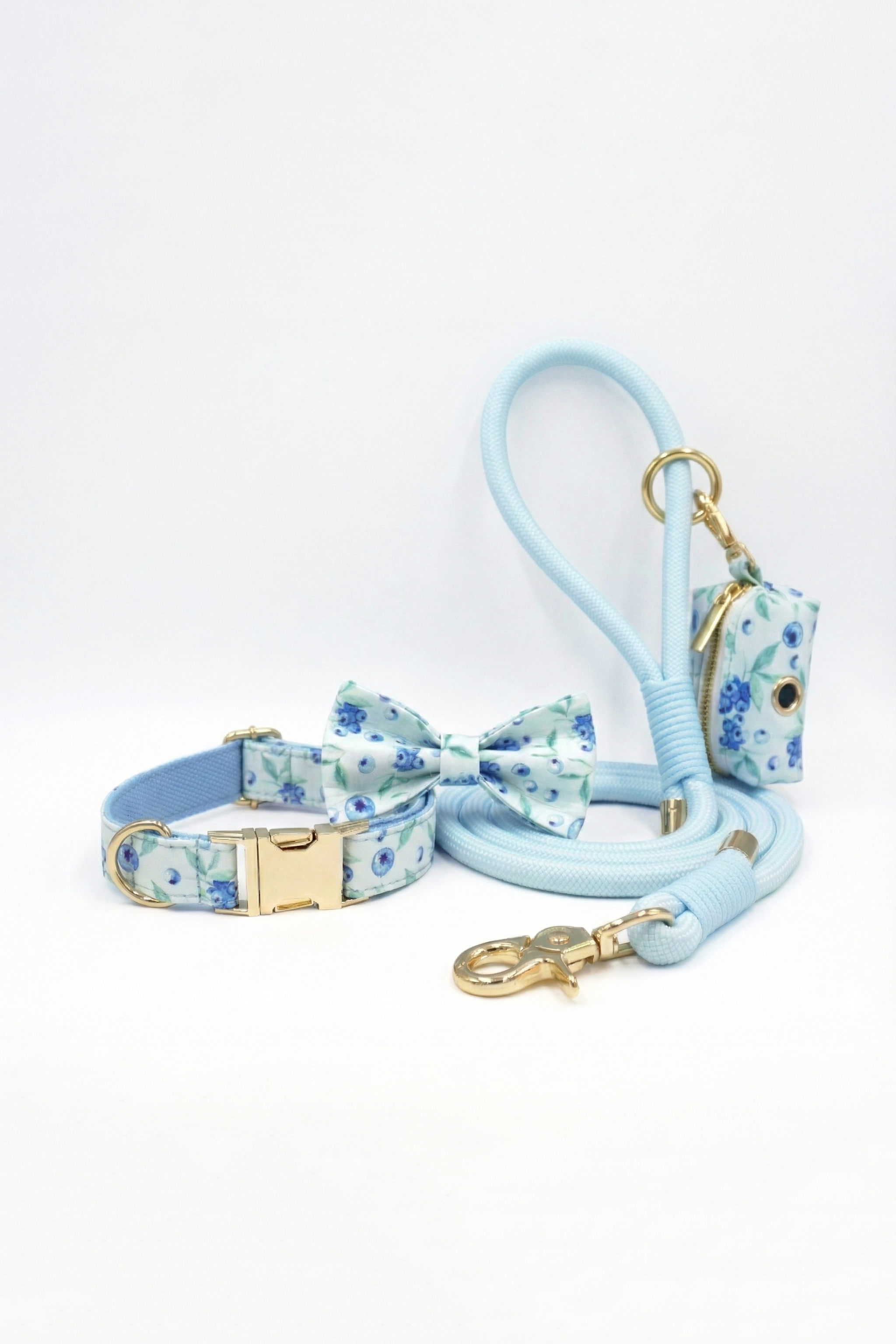 Morning Blueberry Dog Walking Set