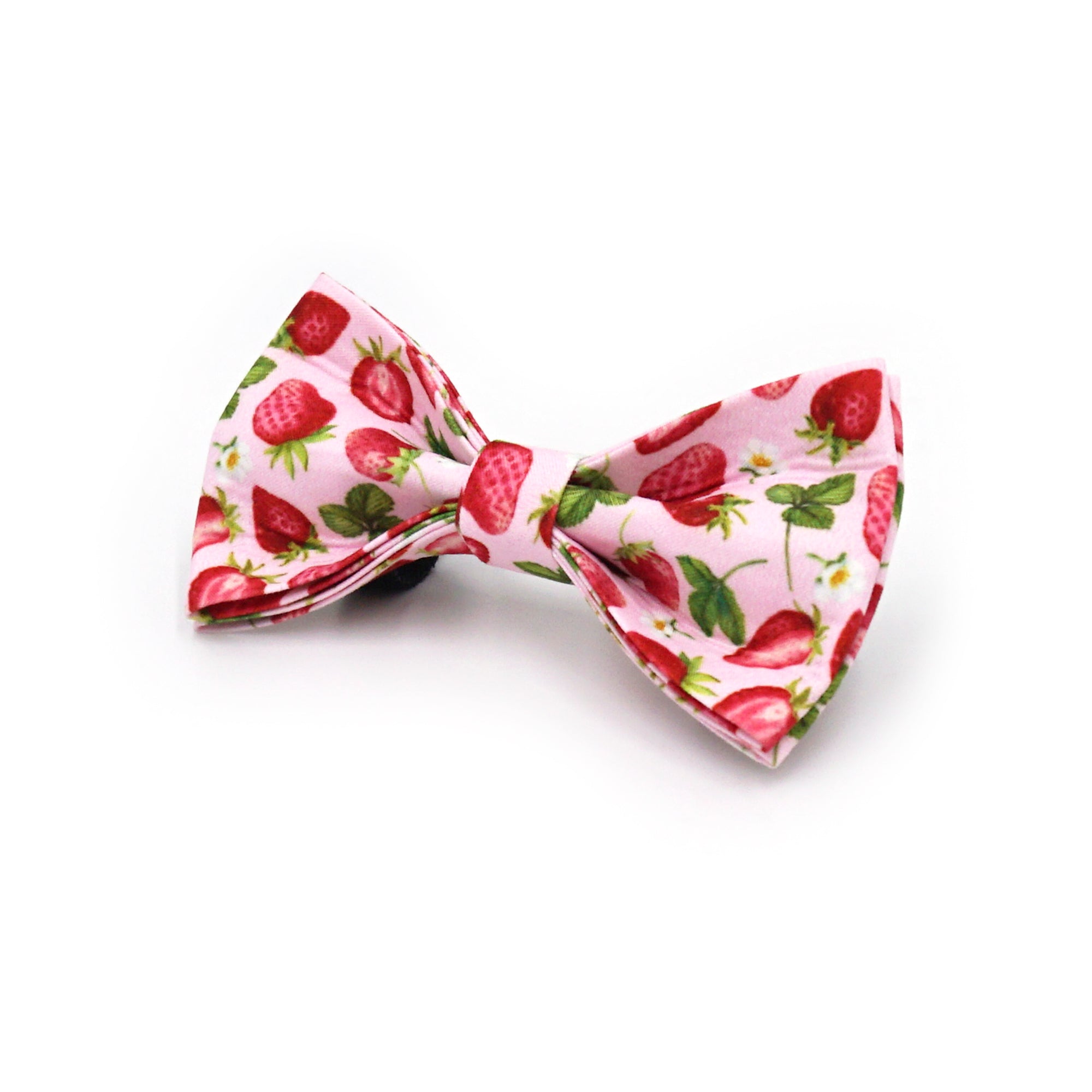 Dog Collar & Leash Set | Sweet Strawberry