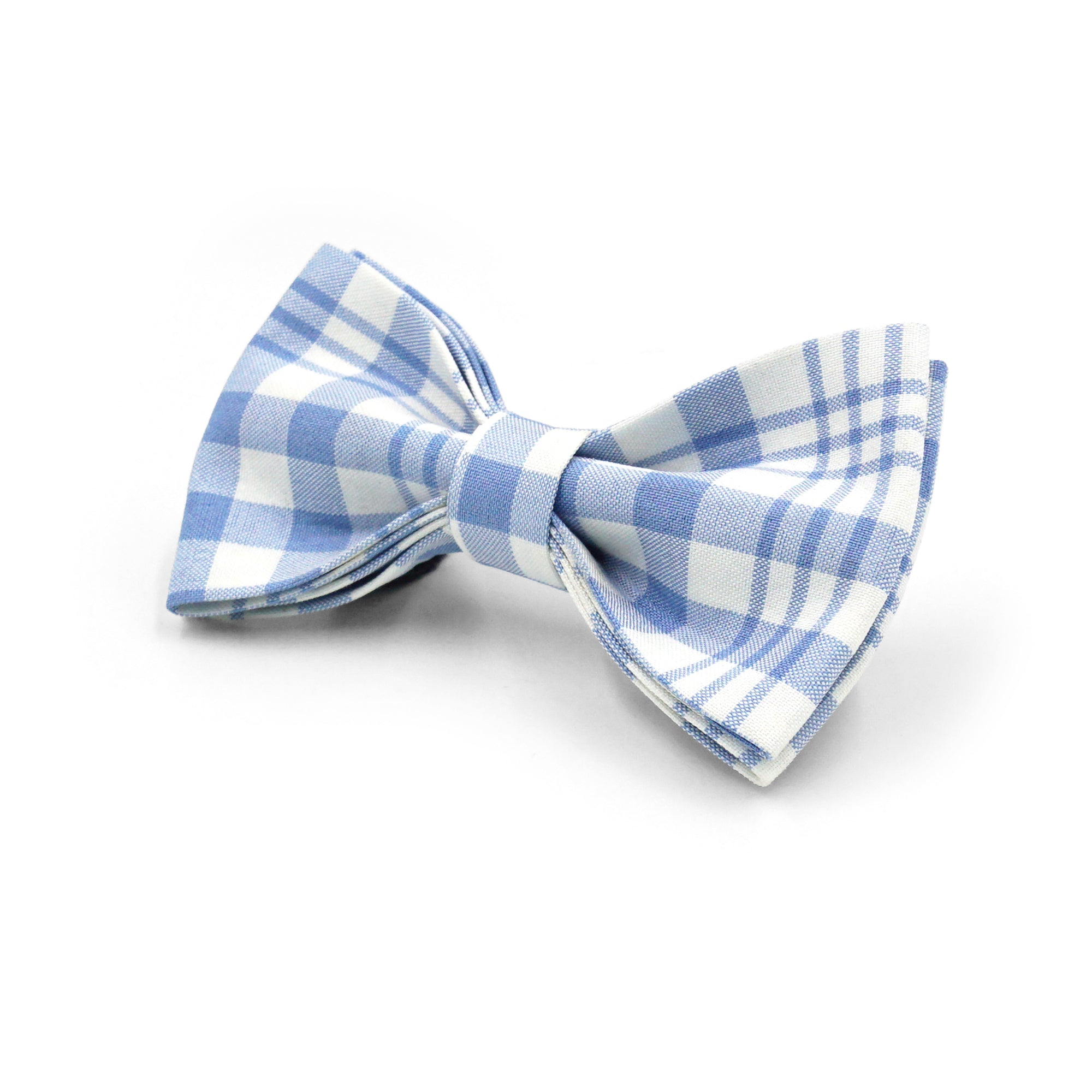 Coastal Plaid Dog Walking Set