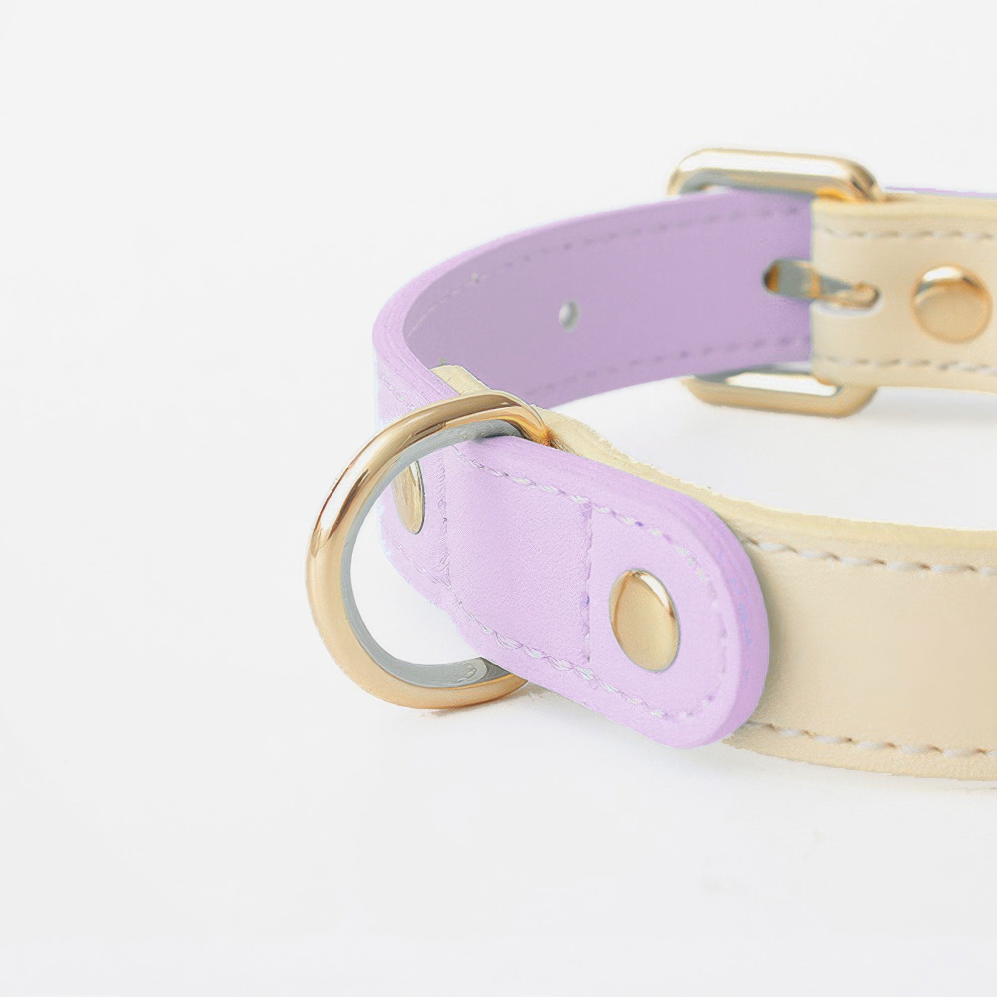 Capri Leather Collar & Leash Set - Lilac