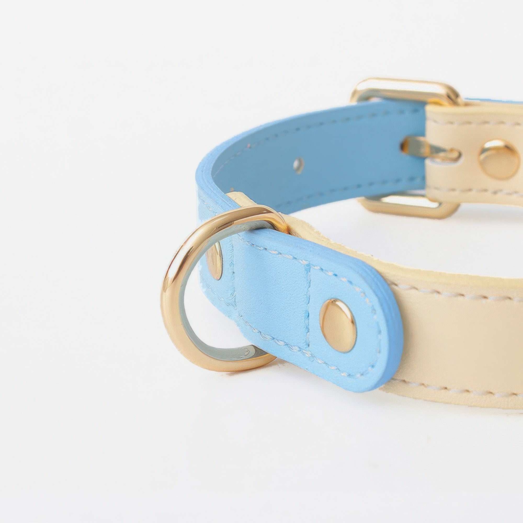 Capri Leather Collar & Leash Set - Sky
