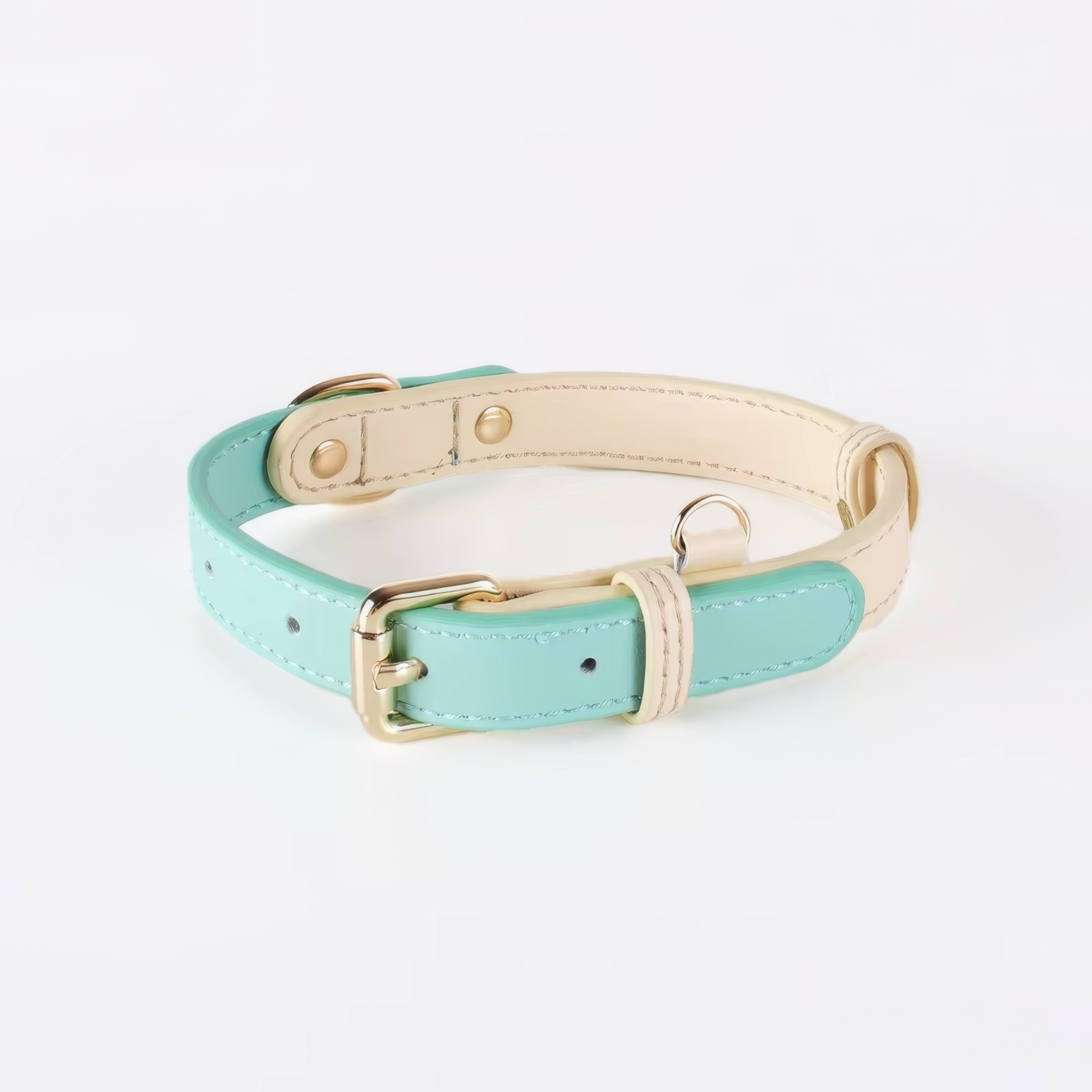 Capri Leather Collar & Leash Set - Mint